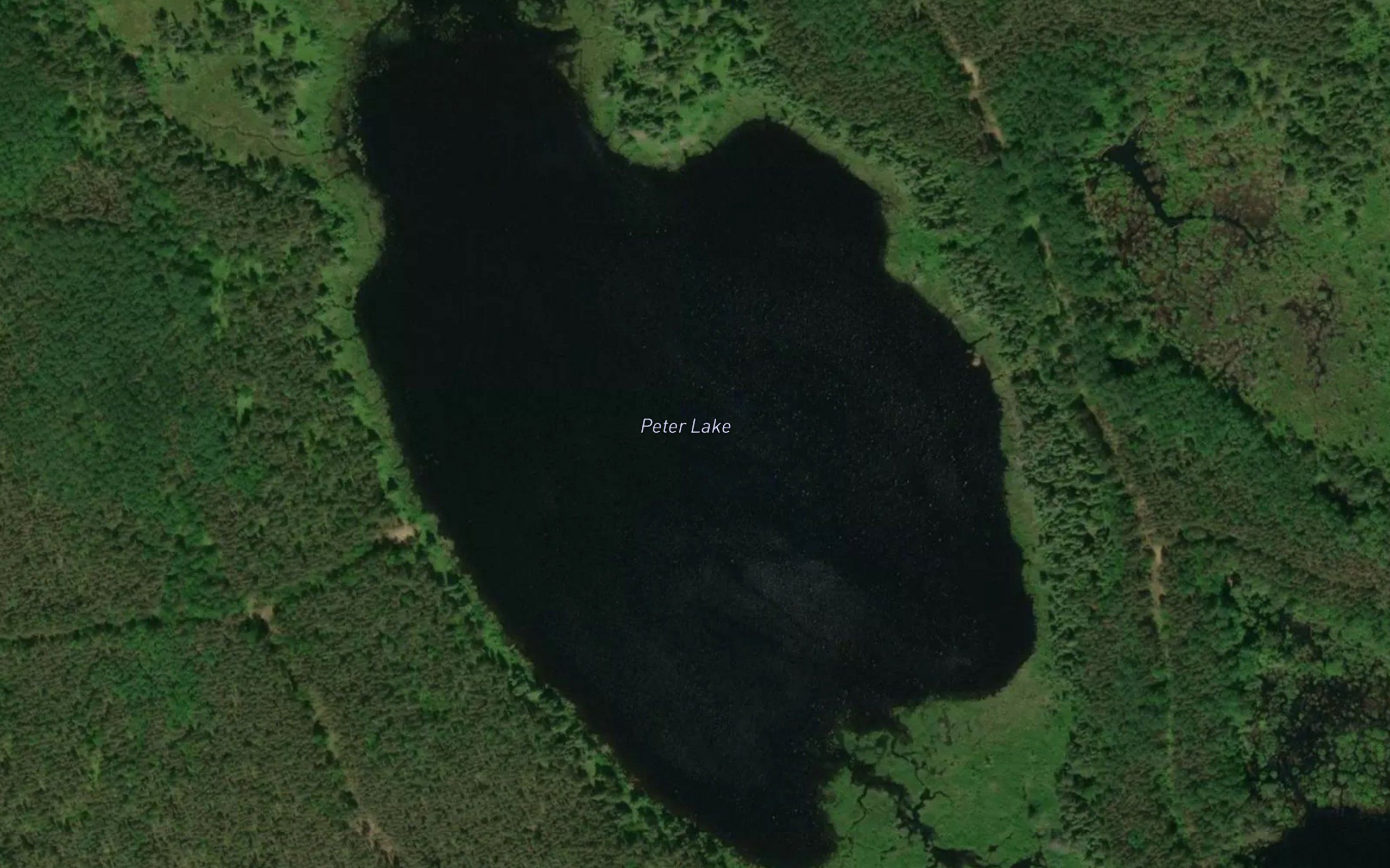 Peter Lake