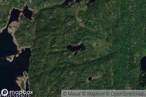 Tjonnskartjonna