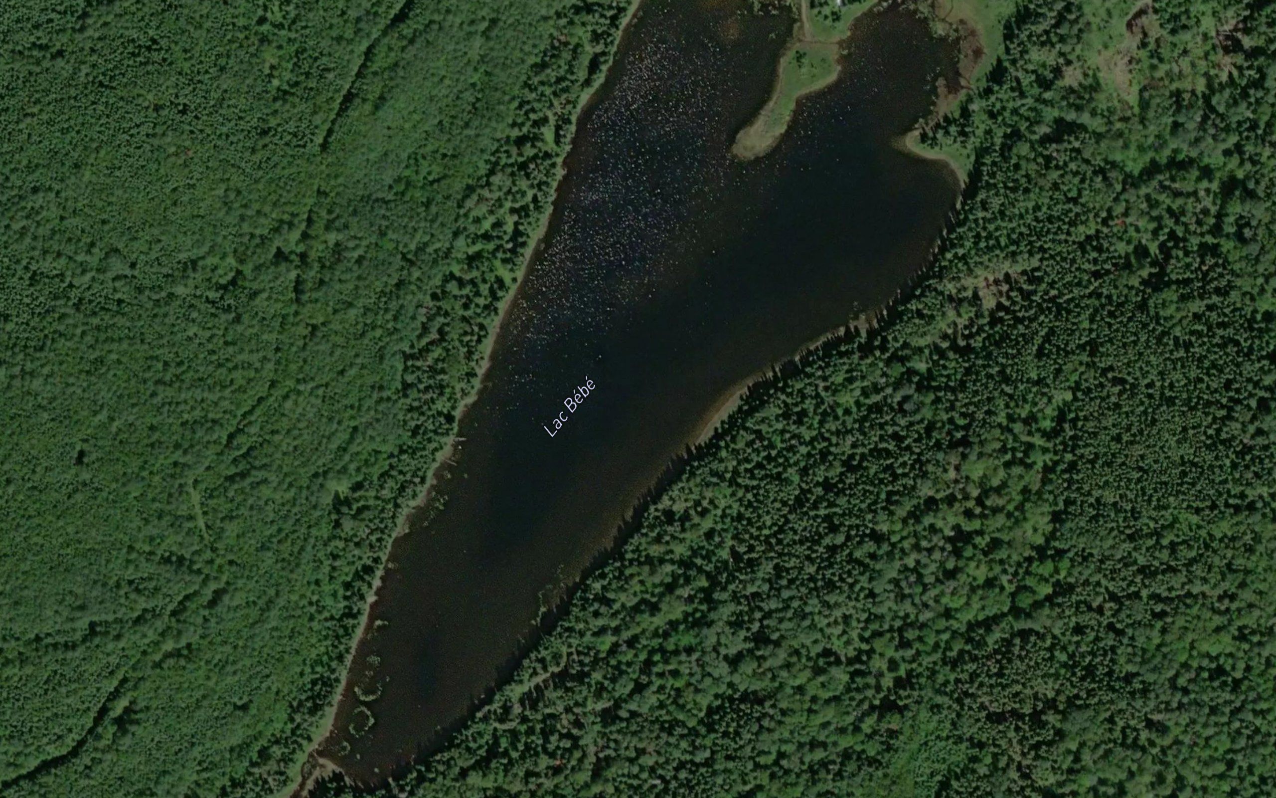 Lac Bebe