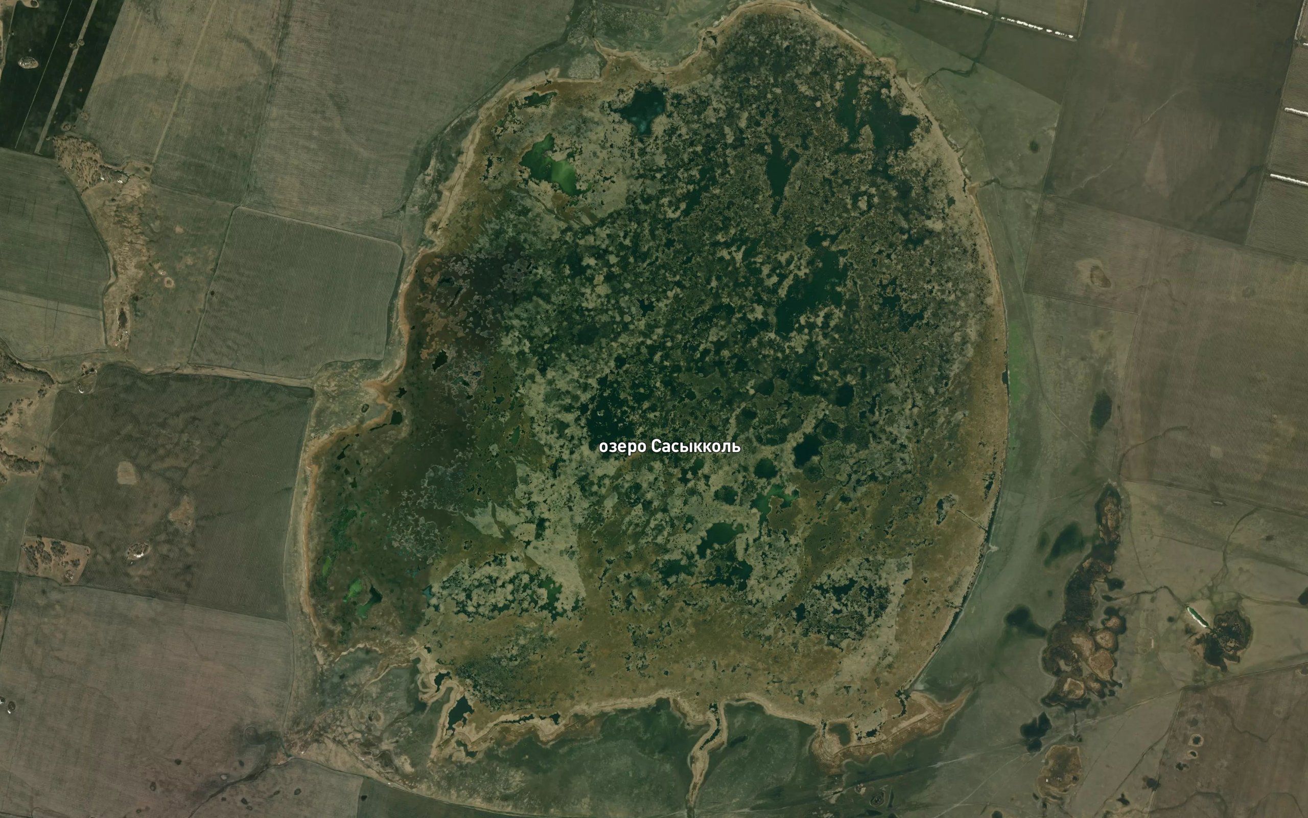 Ozero Sasykkol'