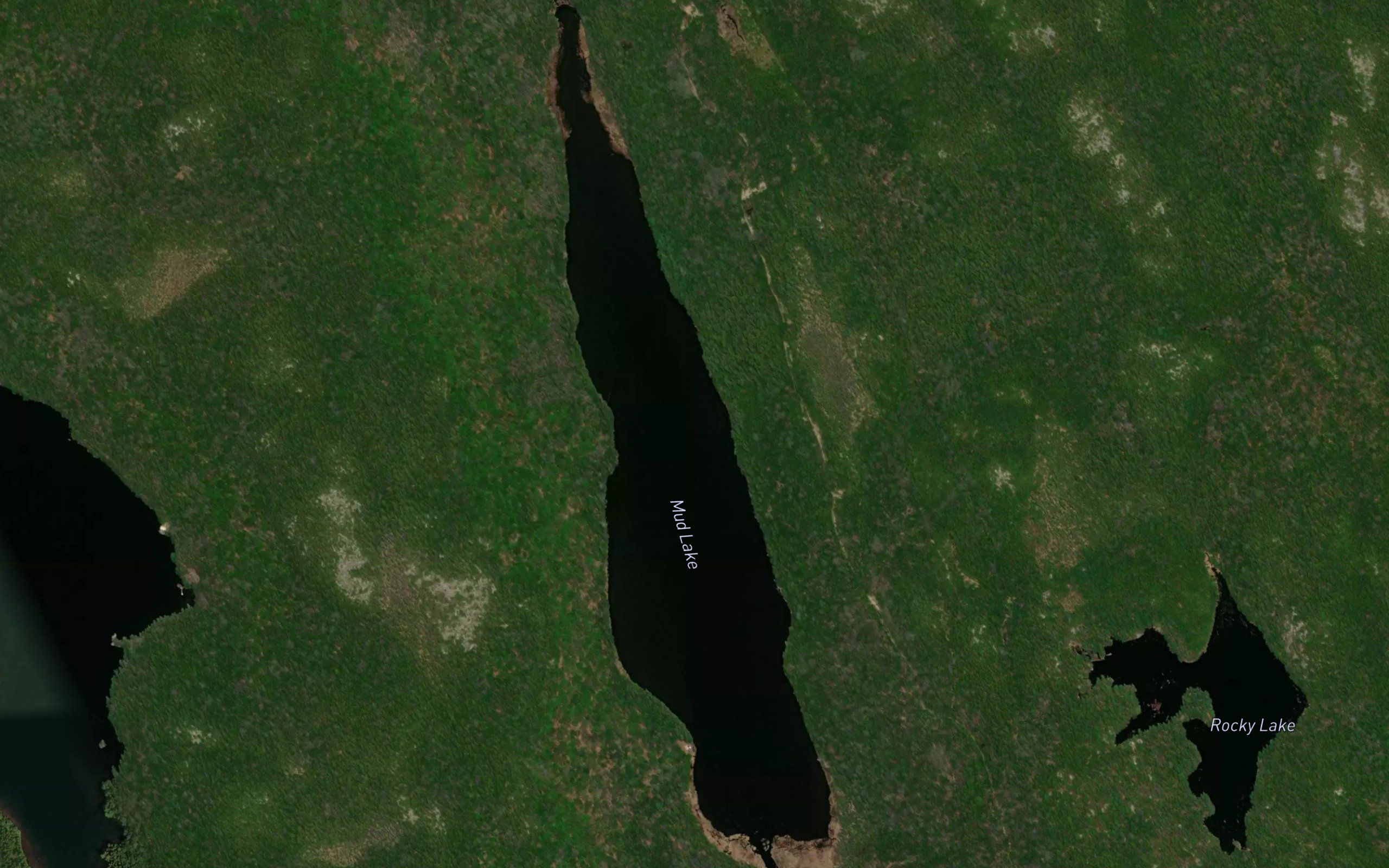 Mud Lake