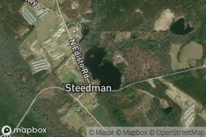 Steedman Pond