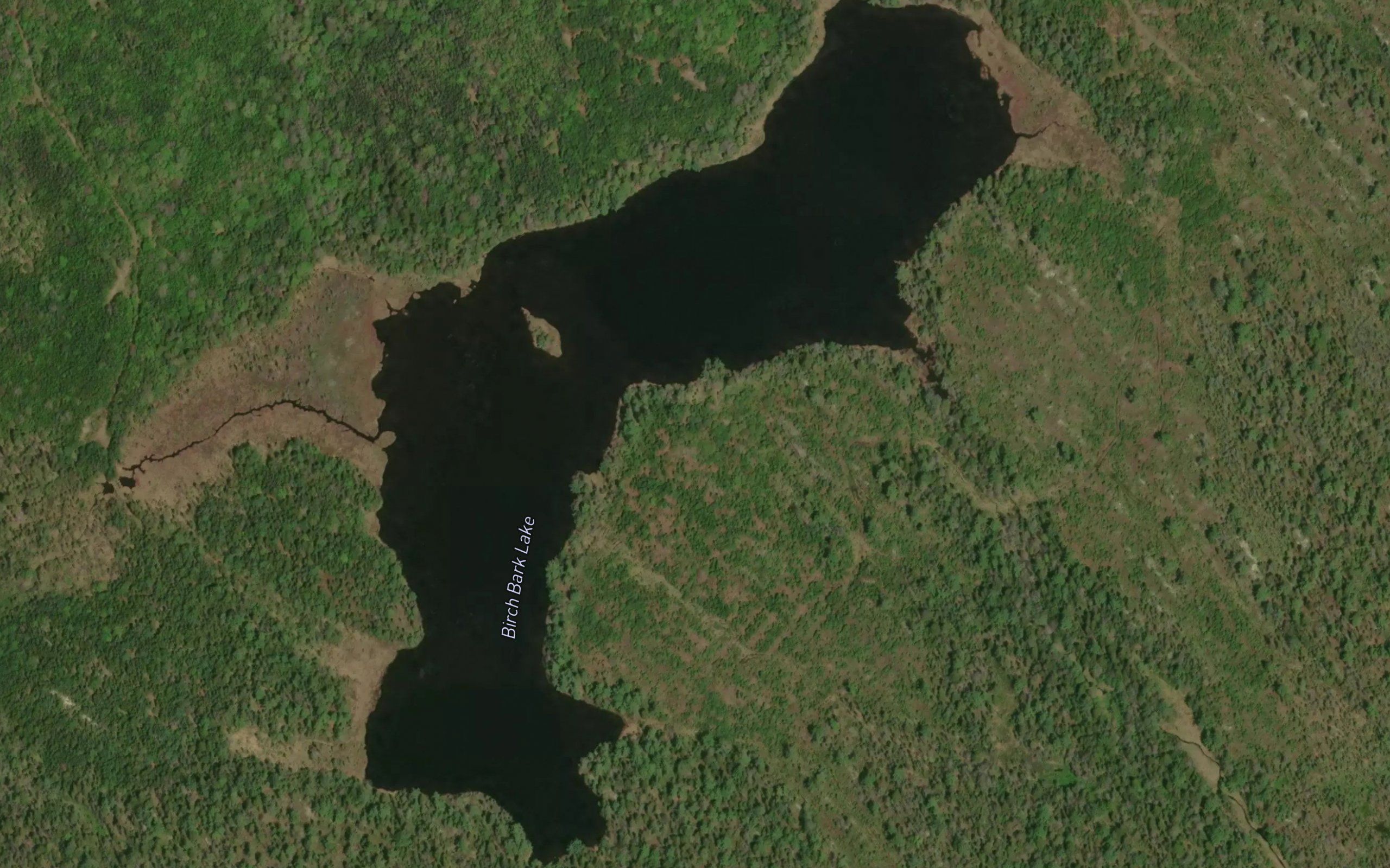 Birch Bark Lake