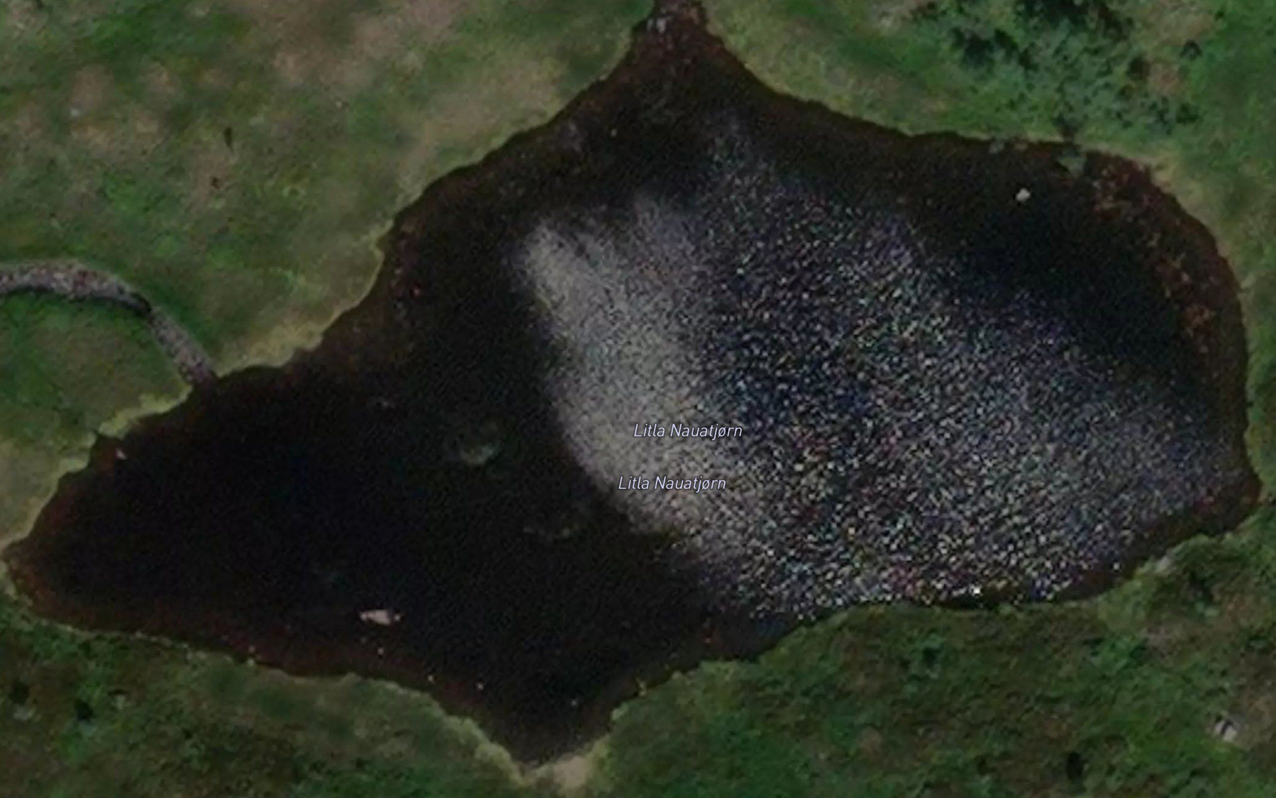 Litla Nauatjorn