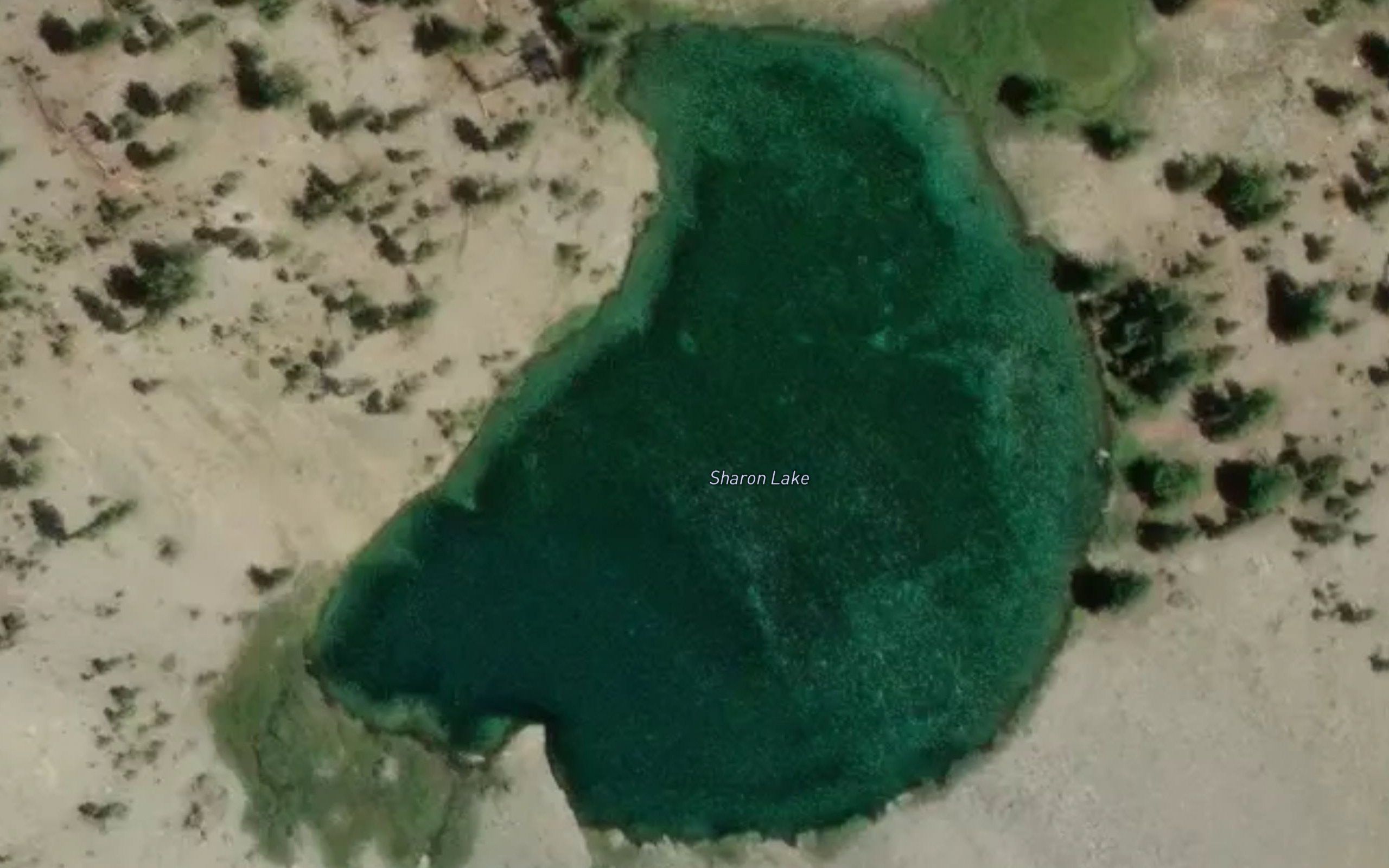 Sharon Lake