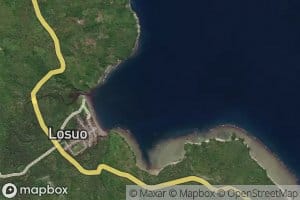 Teluk Losuo