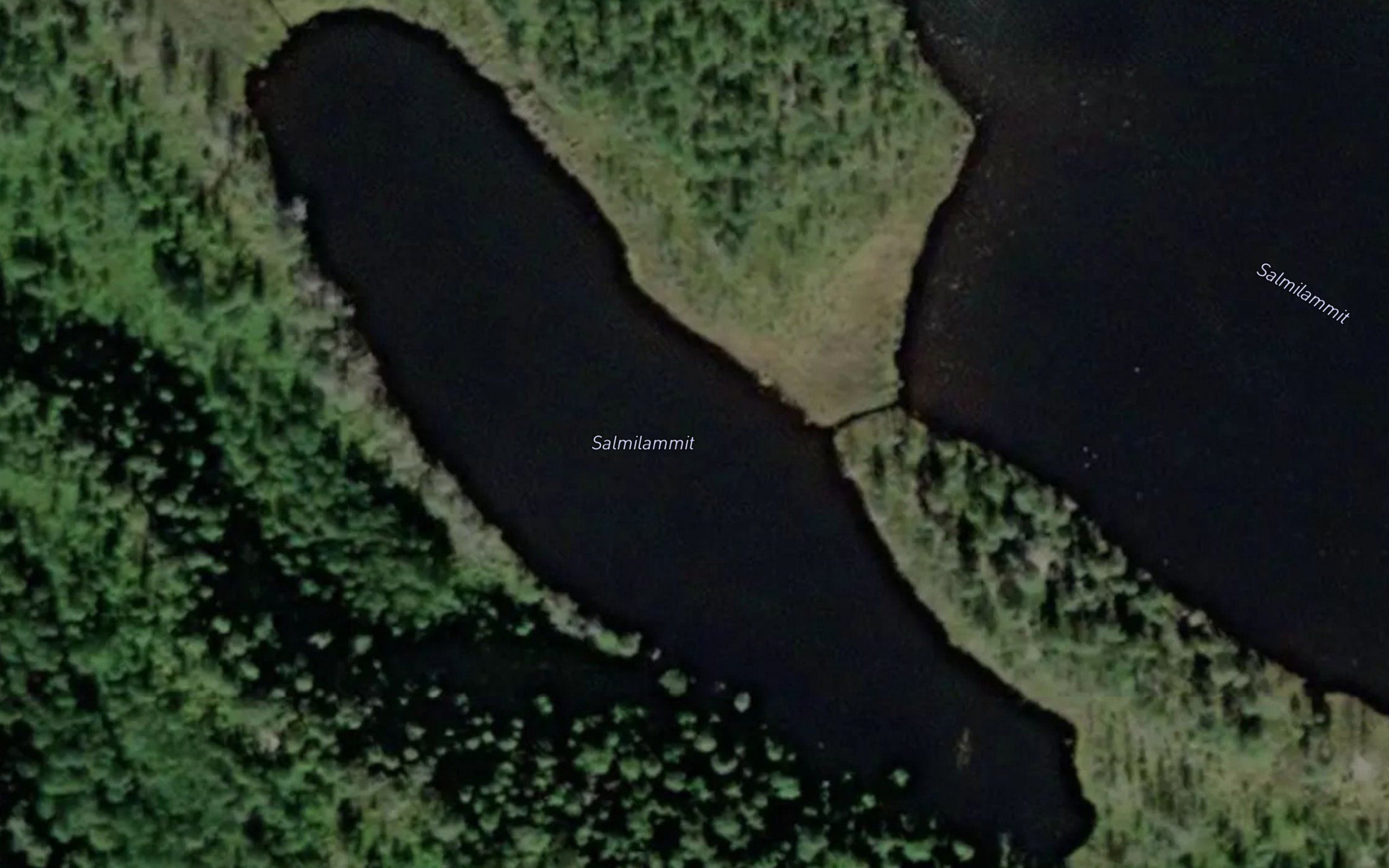 Salmilammit