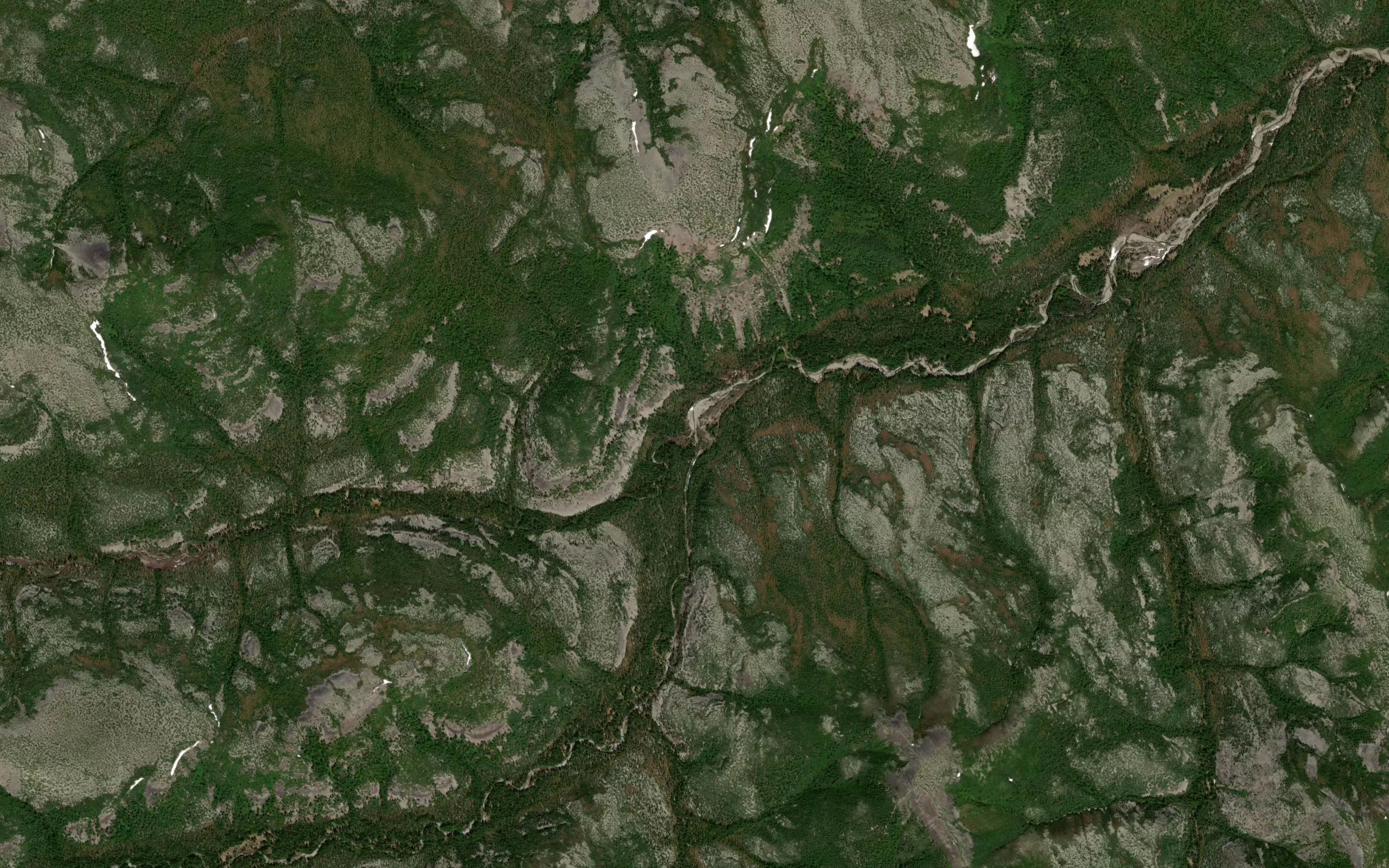 Sinitsyn