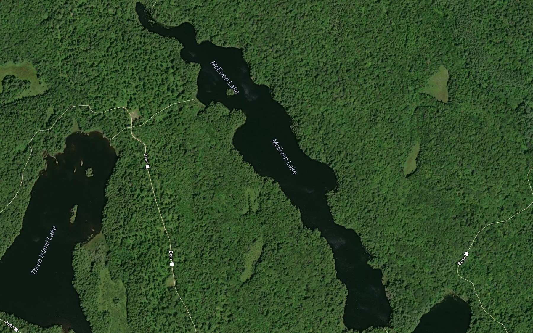 Satellite map of the McEwen Lake