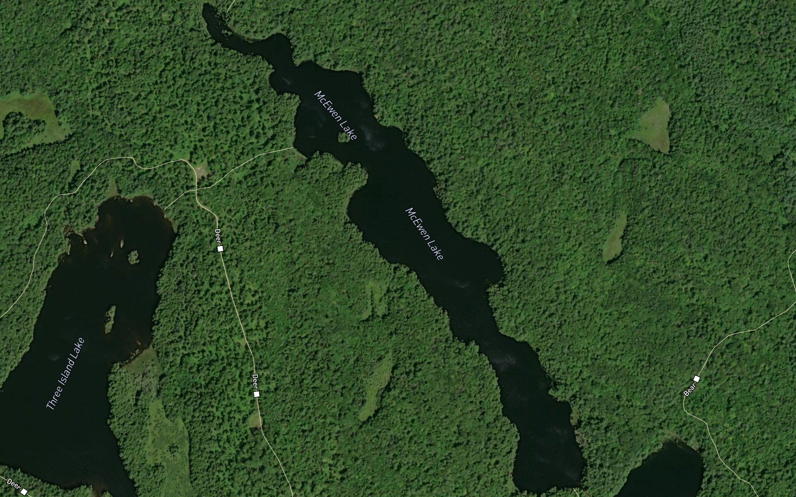 McEwen Lake