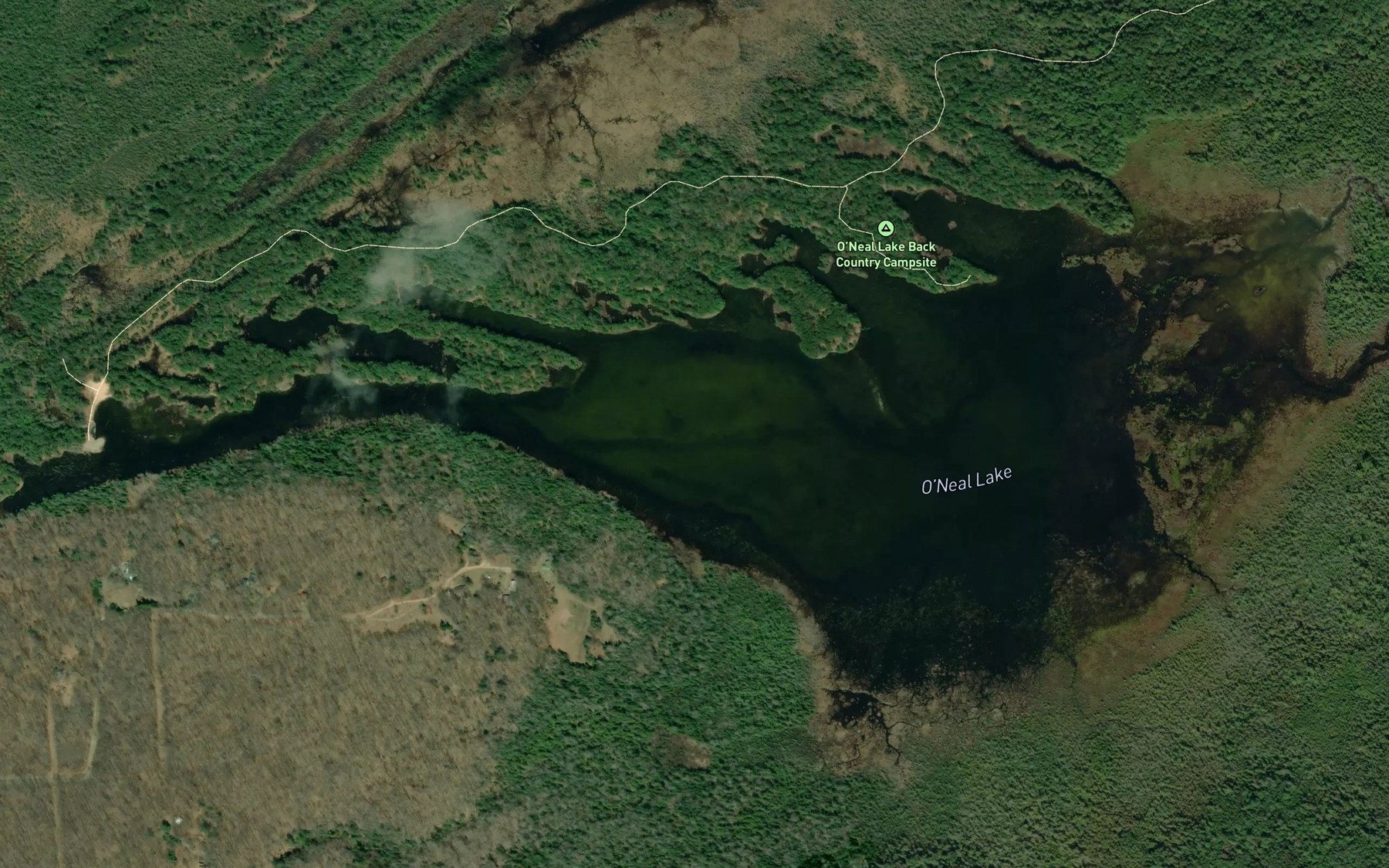 Satellite map of the O'Neal Lake