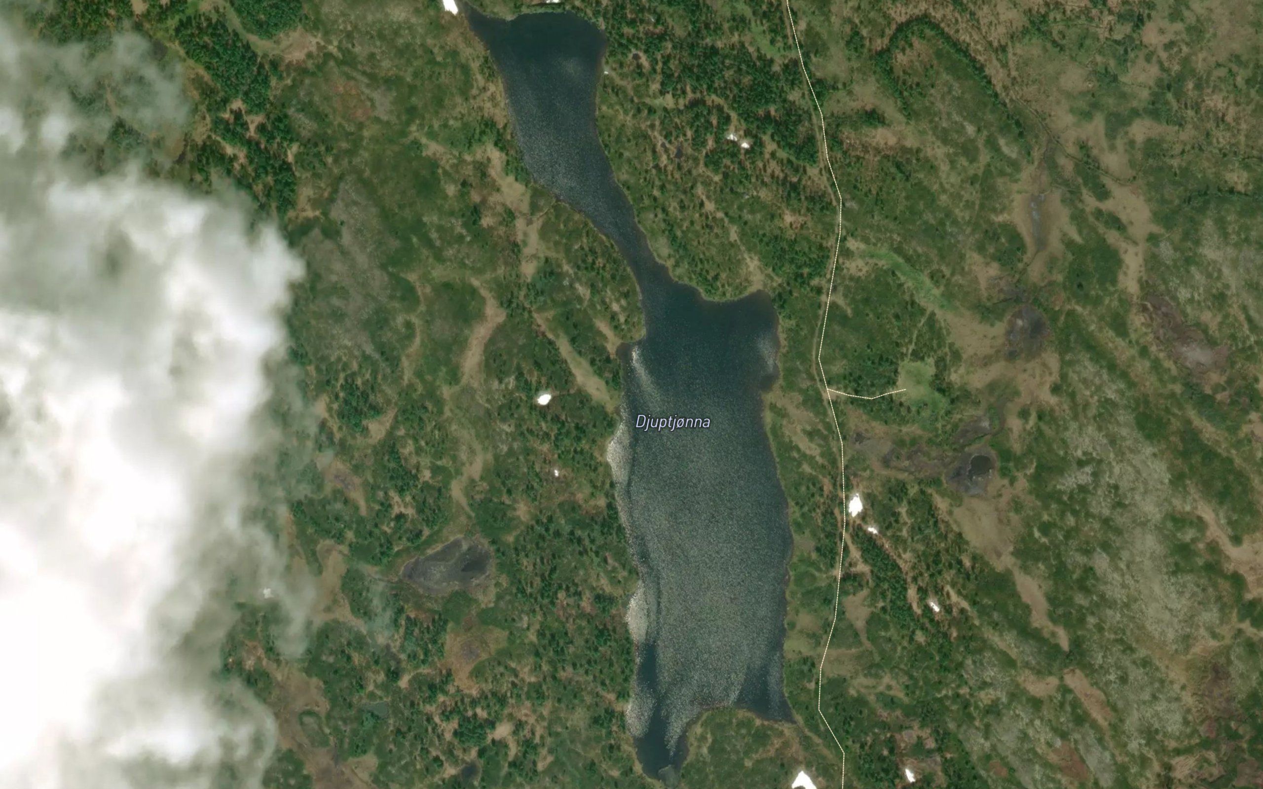Djuptjorna