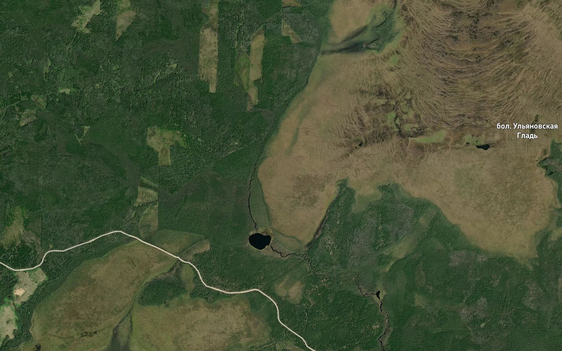 Satellite map of the Ozero Shipovskoye