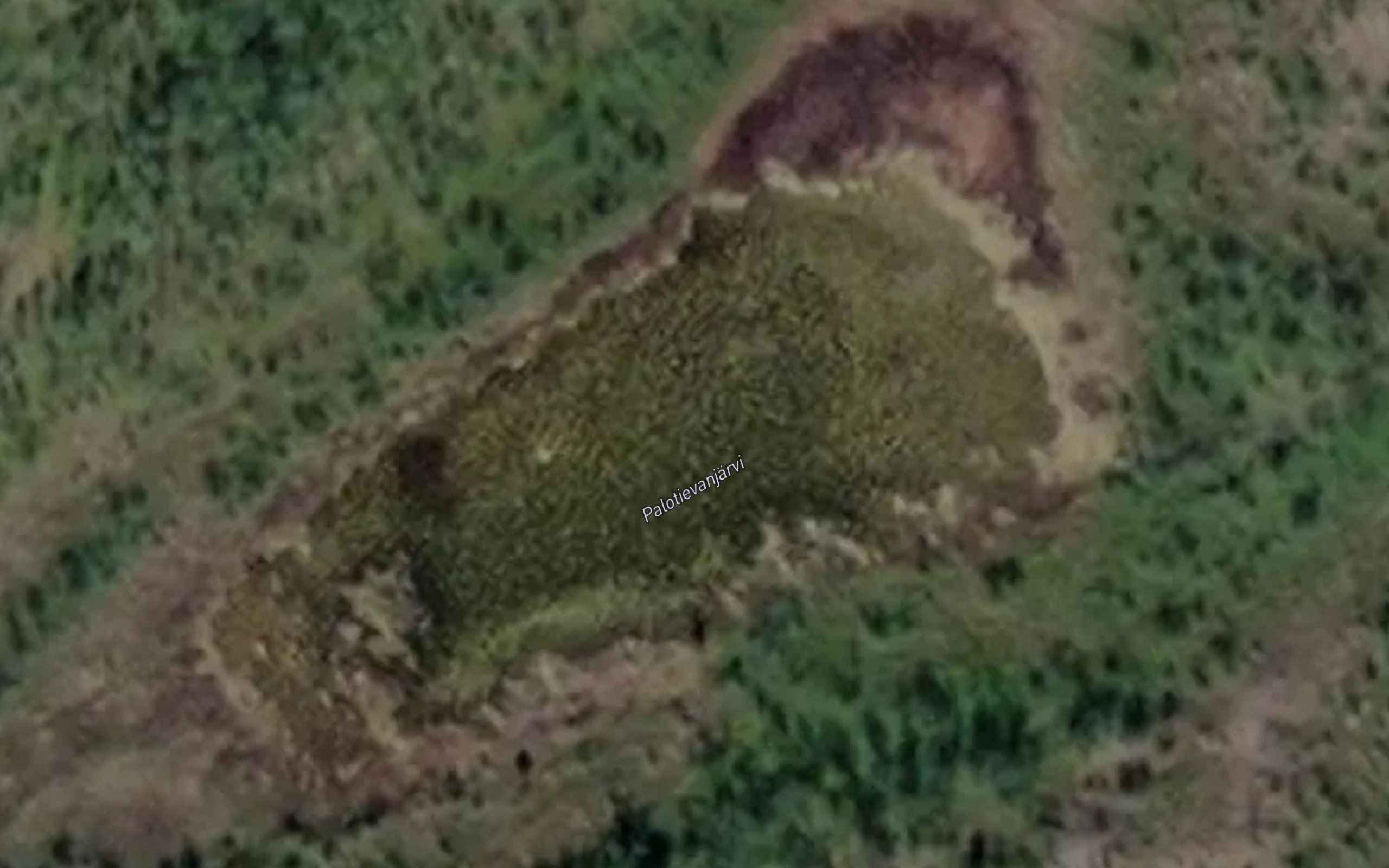 Palotievanjaervi