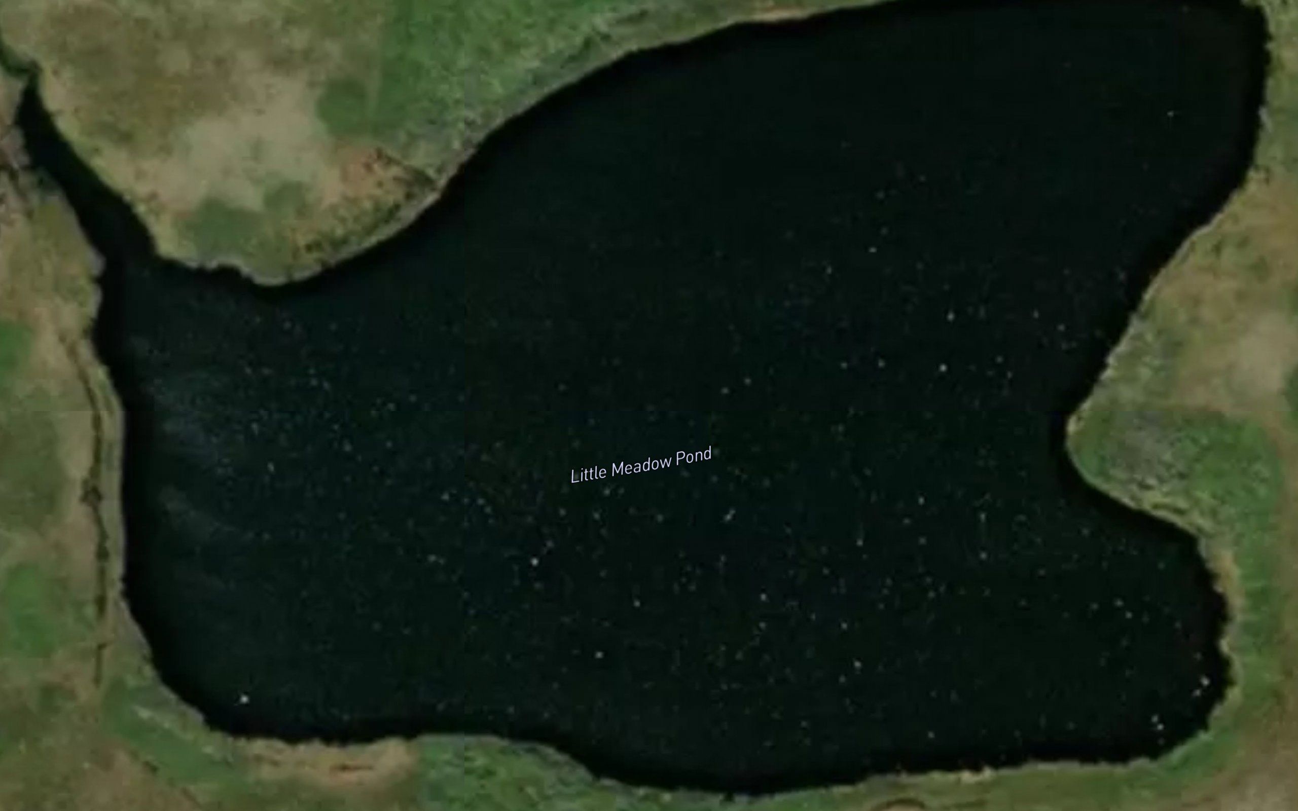 Little Meadow Pond