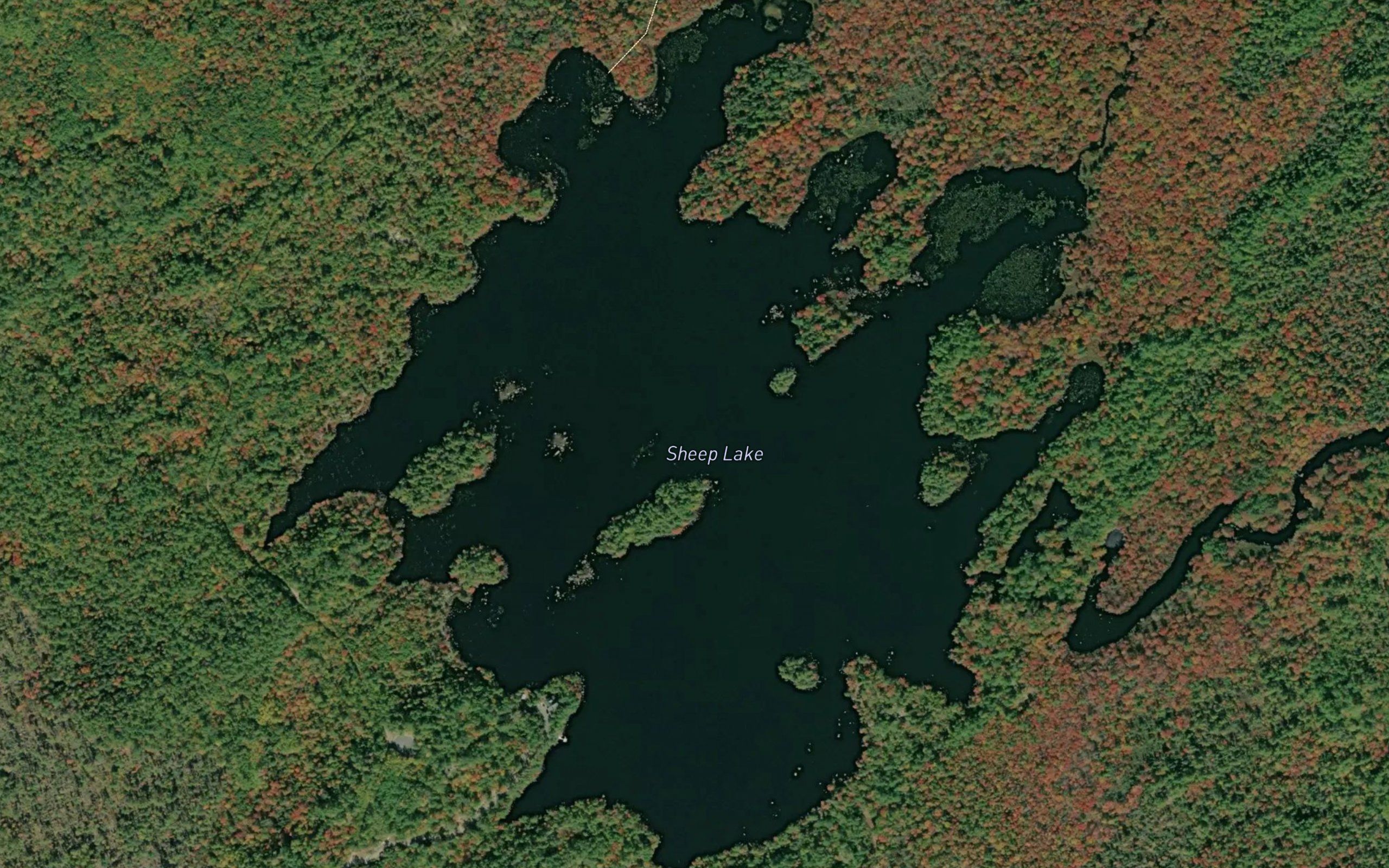 Sheep Lake