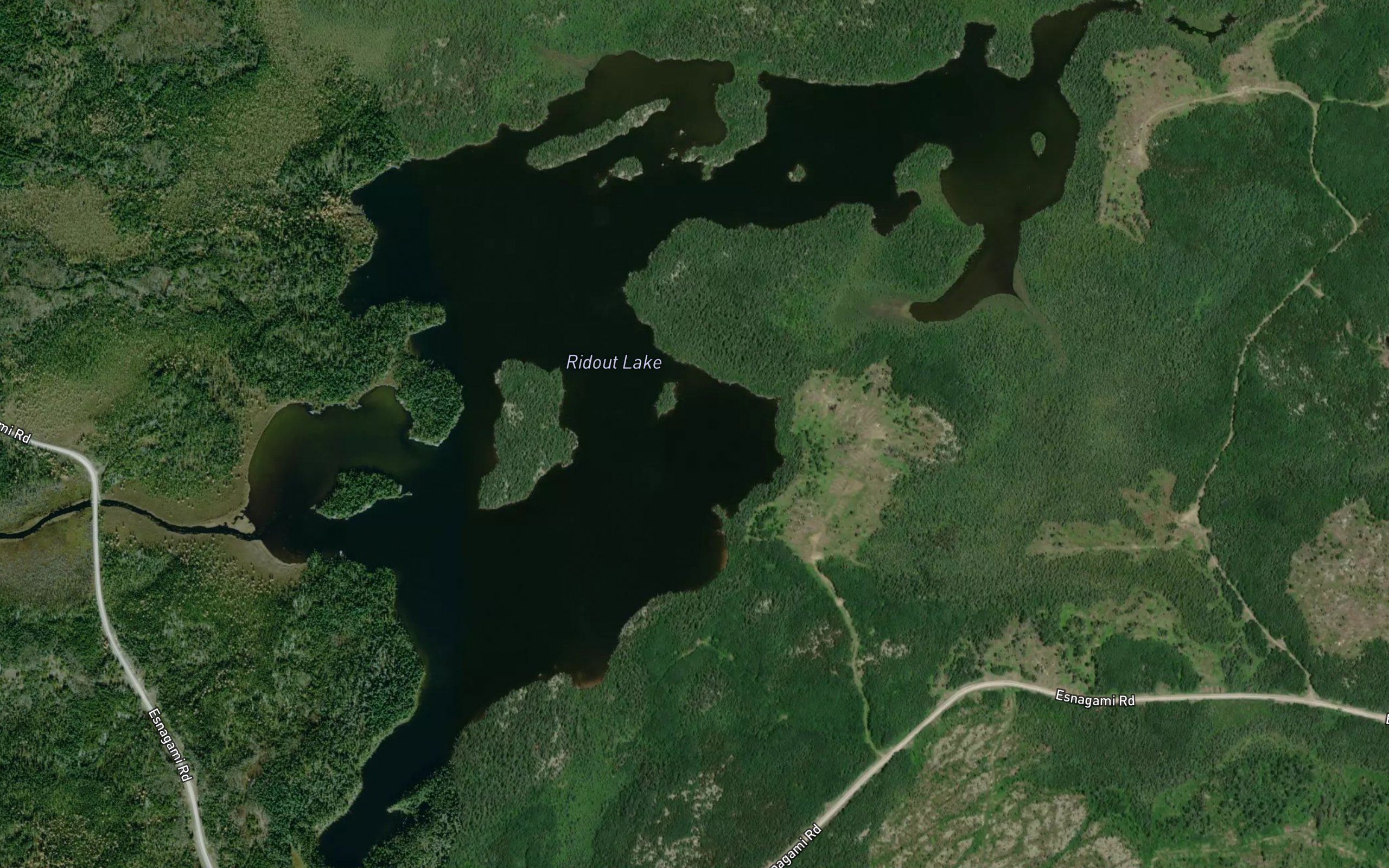 Ridout Lake