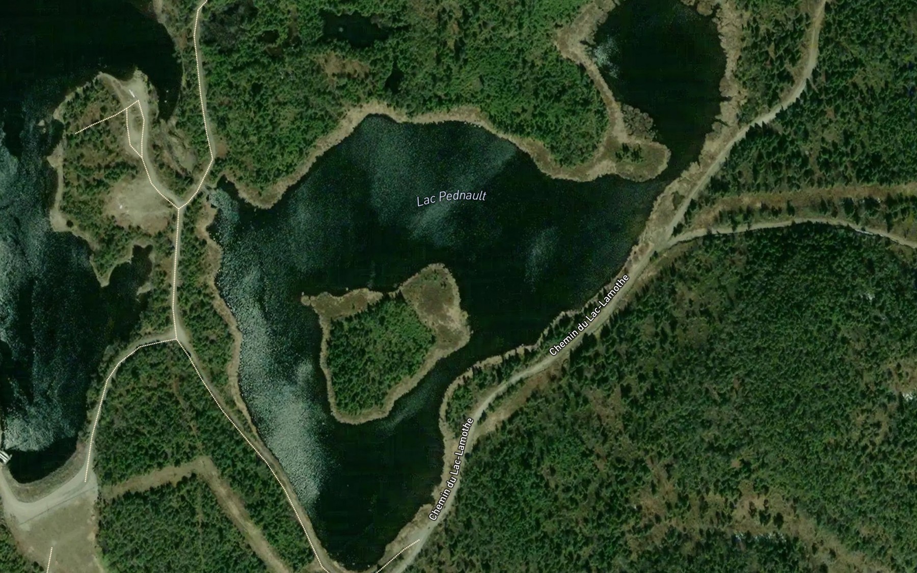 Satellite map of the Lac Pednault