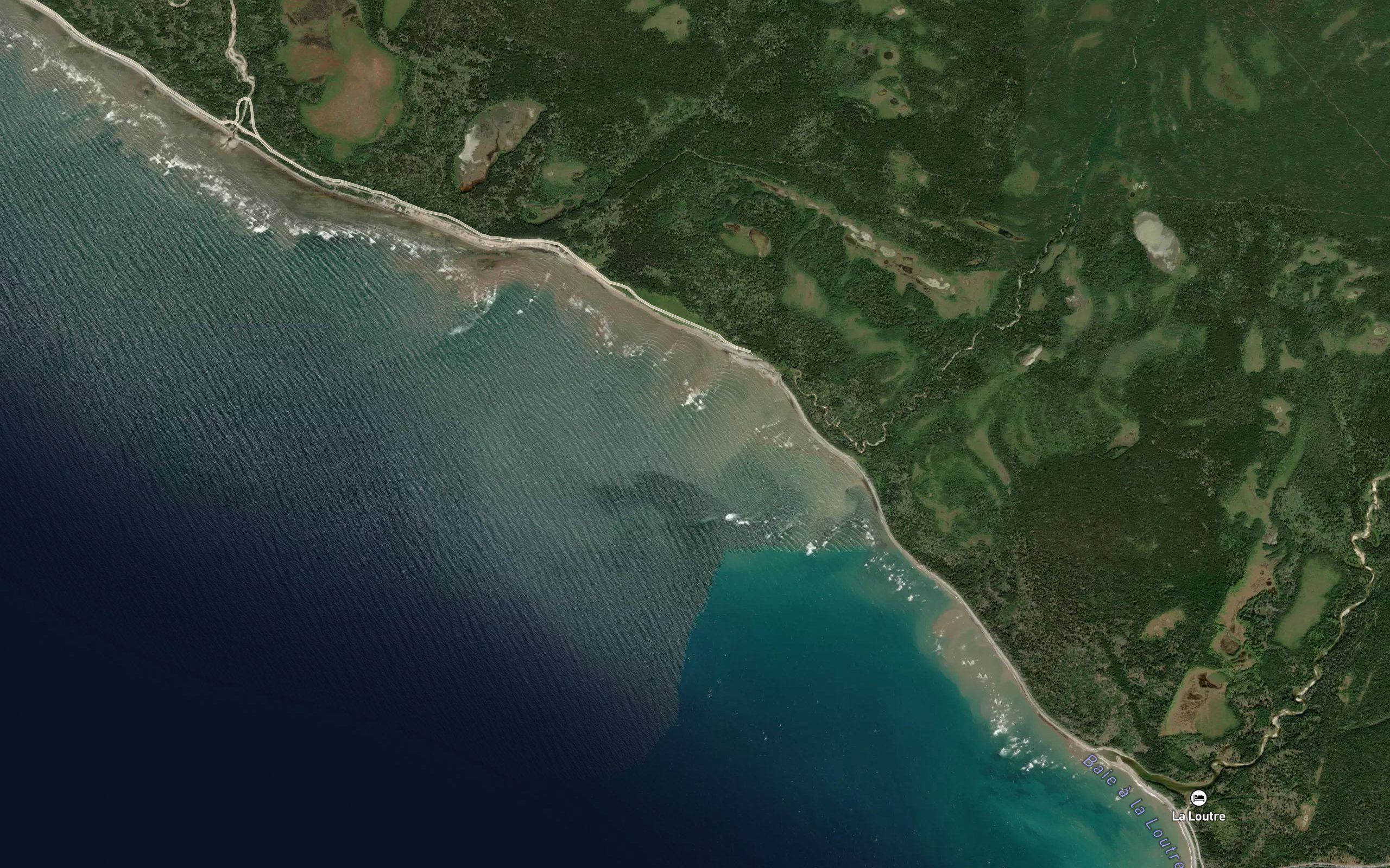 Anse Kneeland