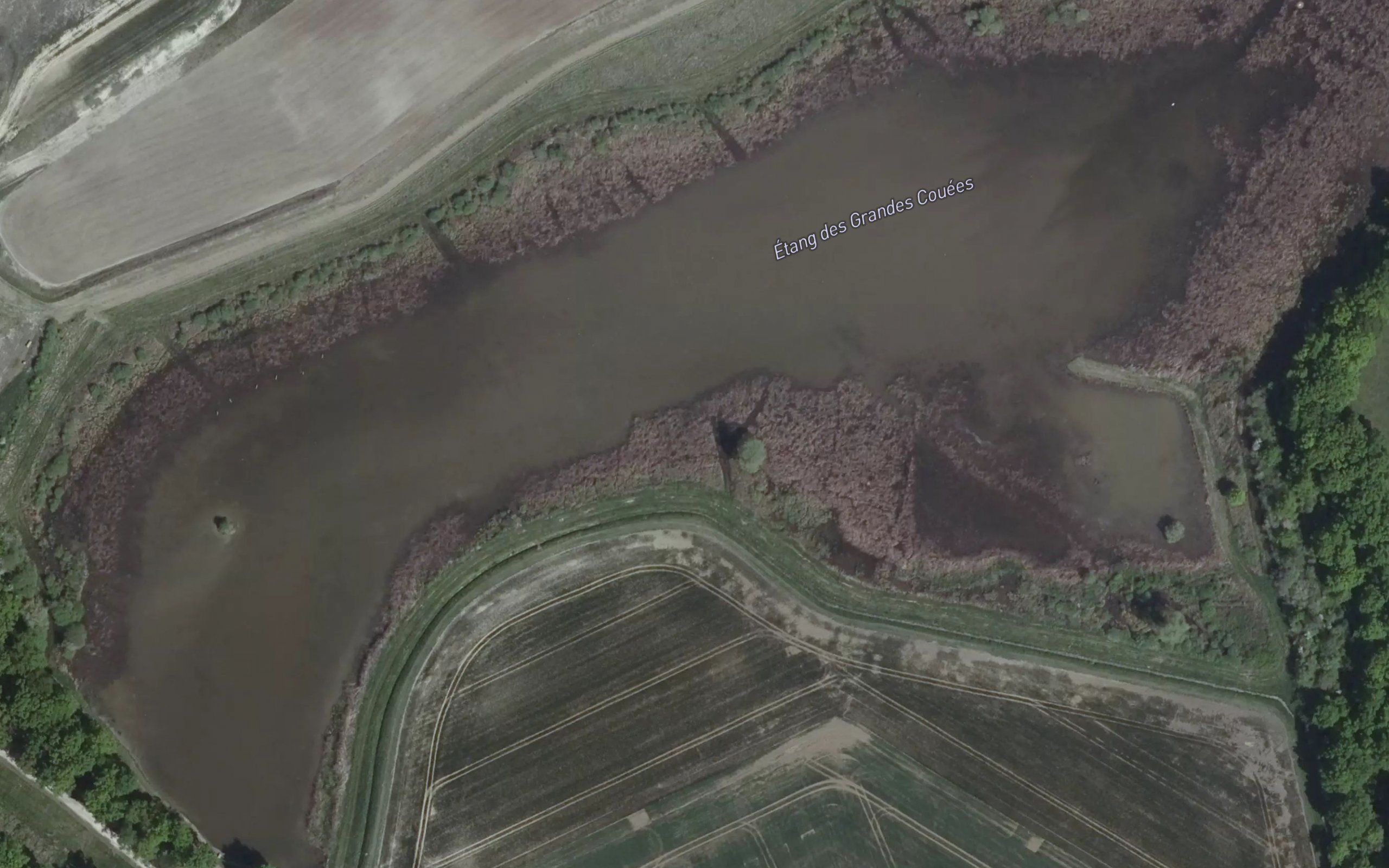 Etang des Grandes Couees