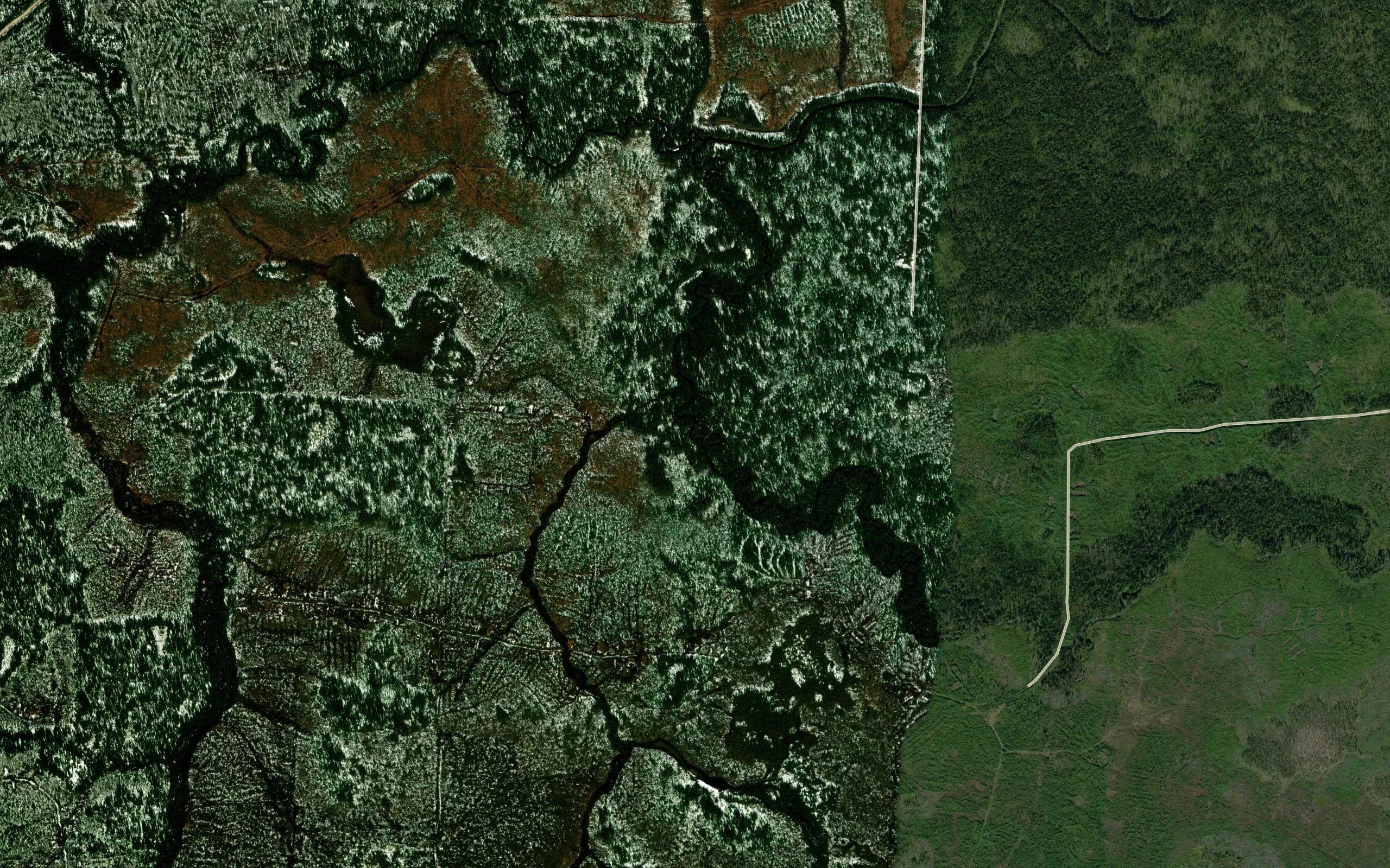 Chernaya