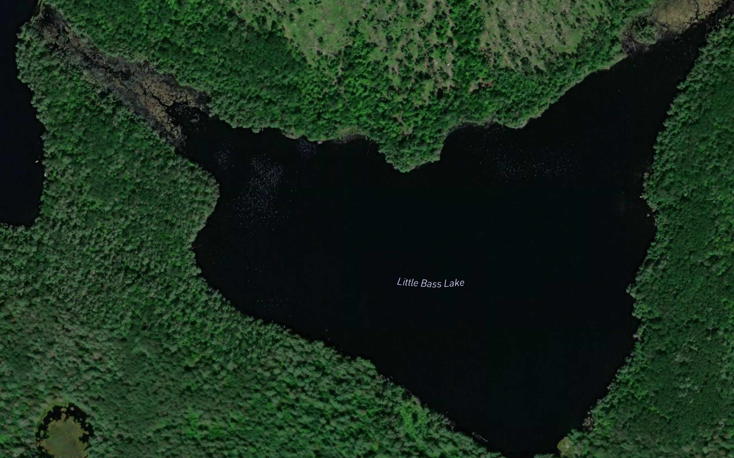 Little Bass Lake