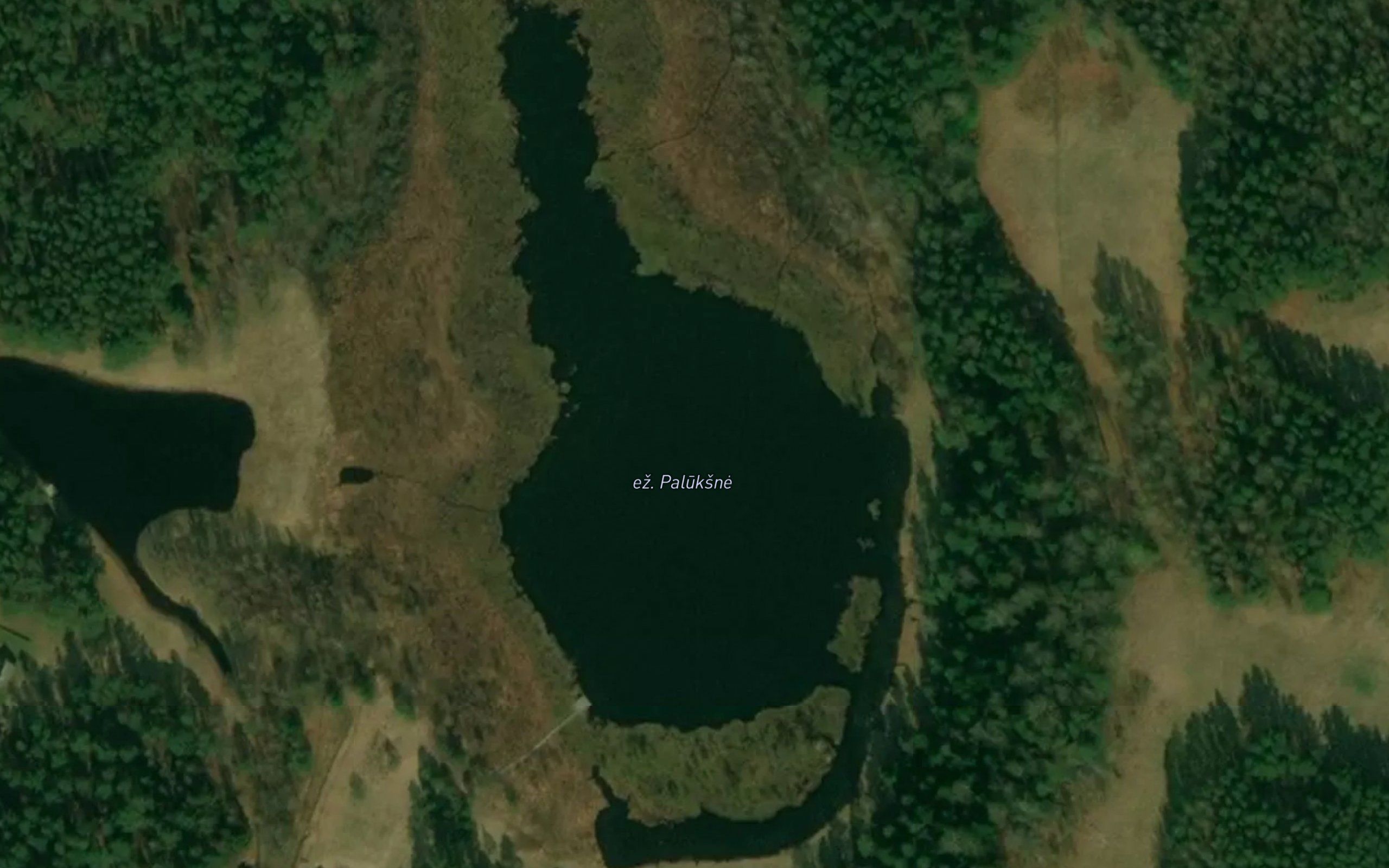Ezeras Palukstinis