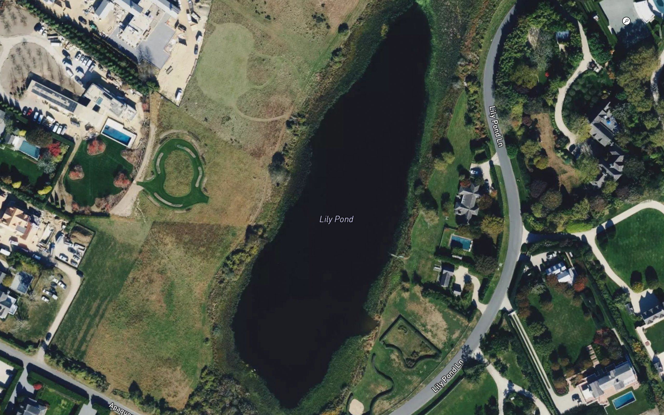 Lily Pond