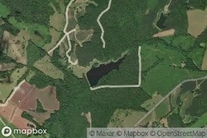 Wilsons Pond