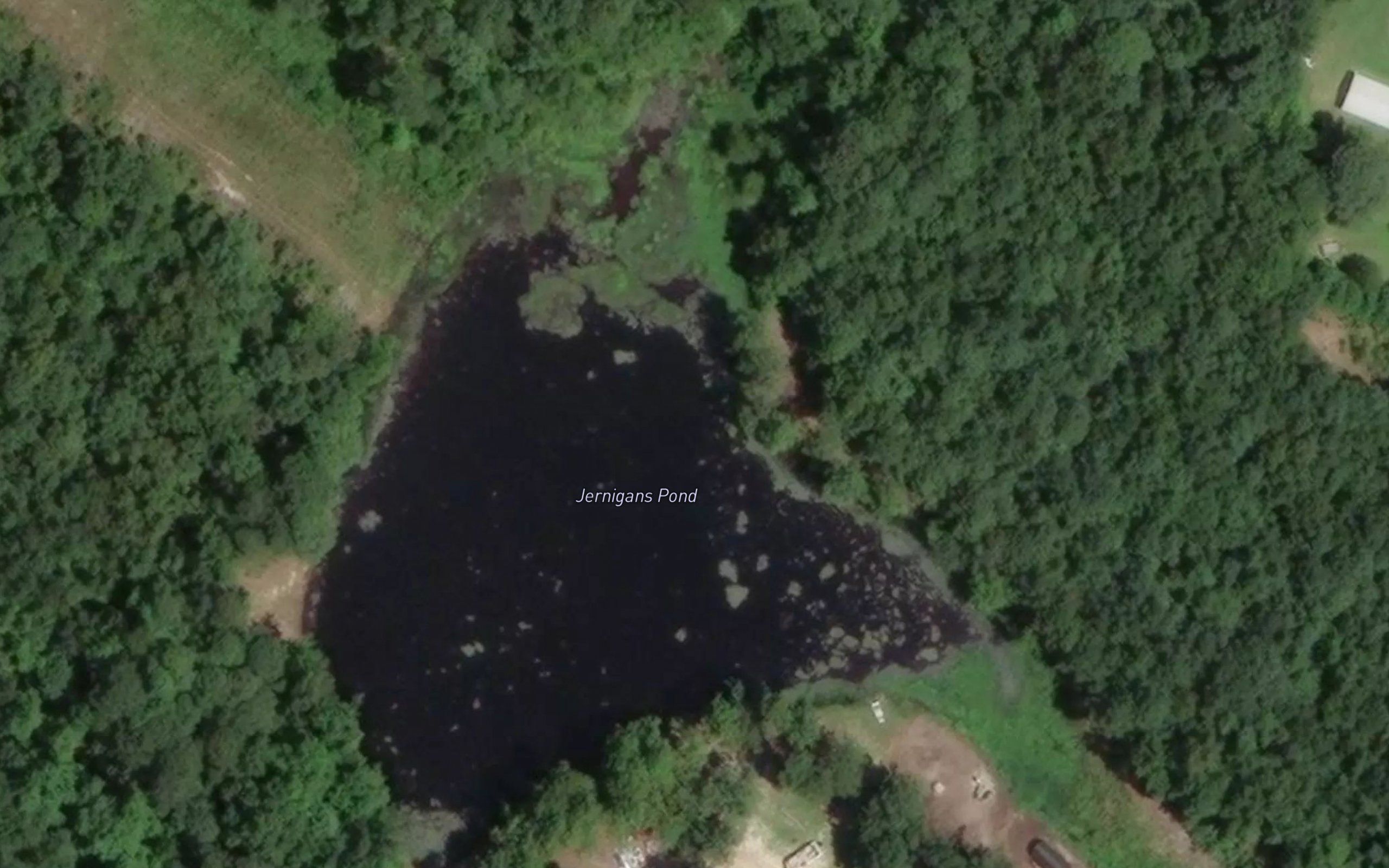 Jernigans Pond