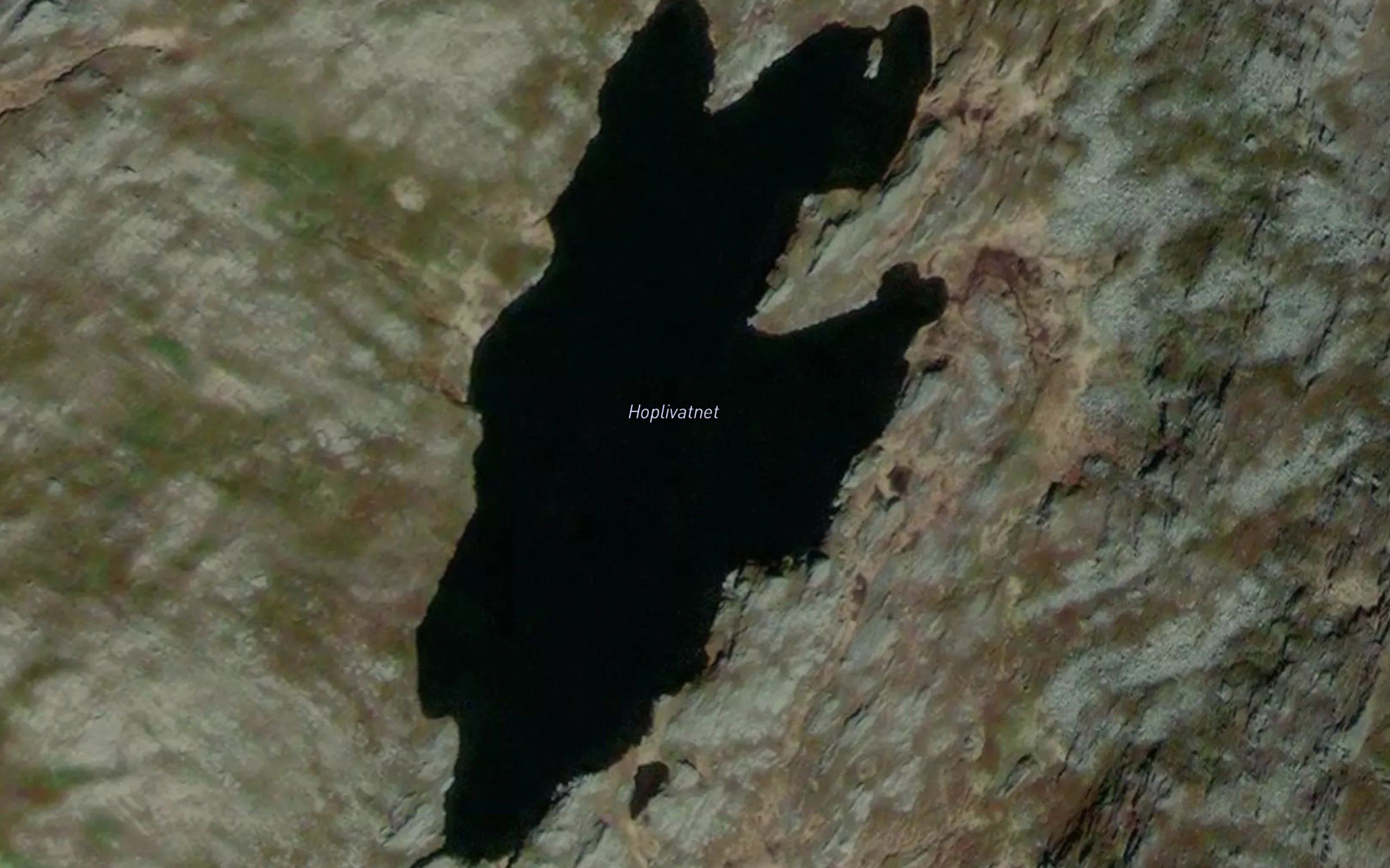 Hoplivatnet