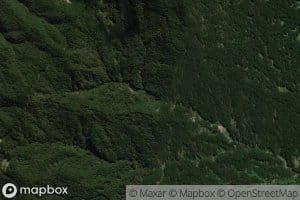 Mangarakeke Stream