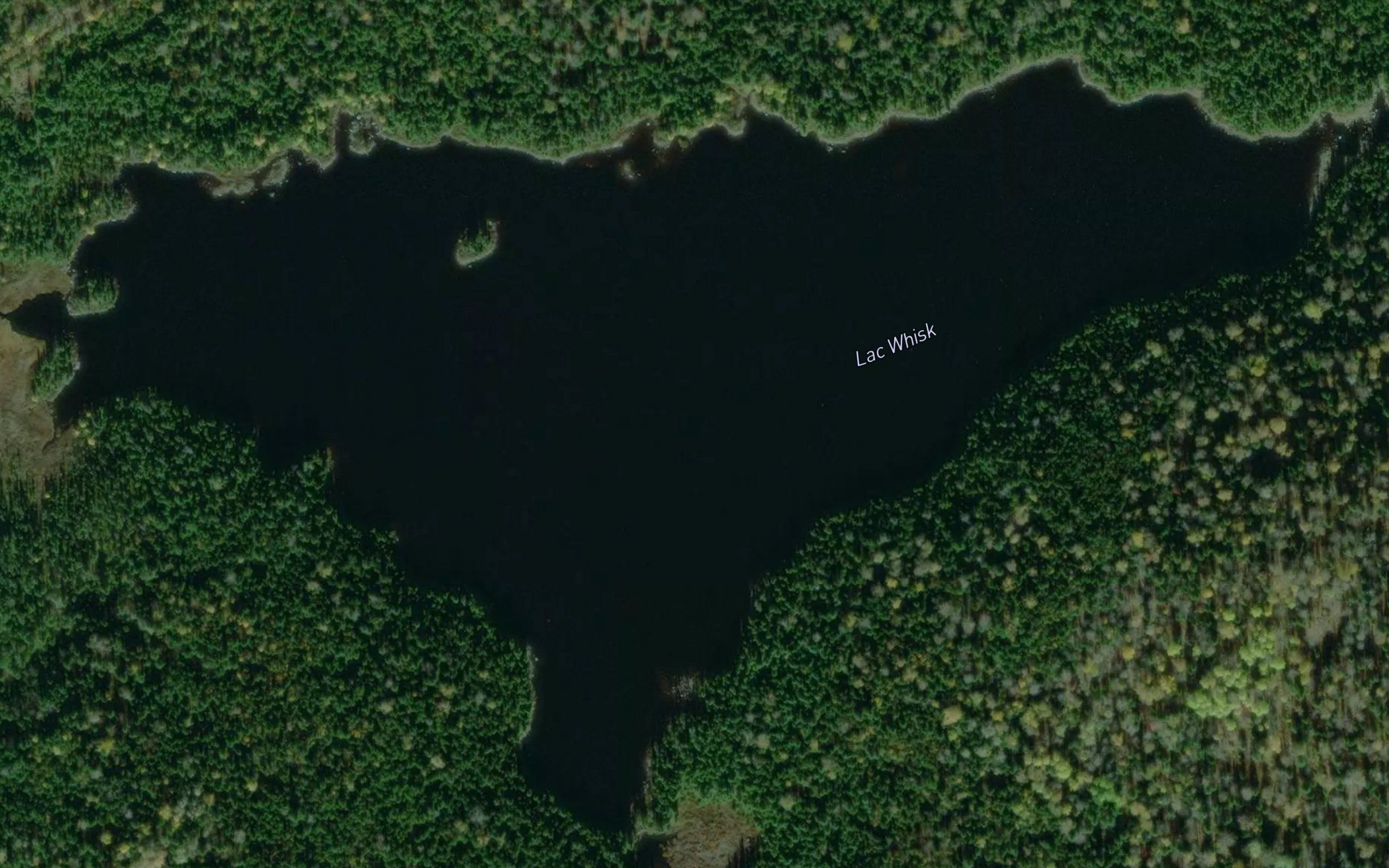 Lac Whisk