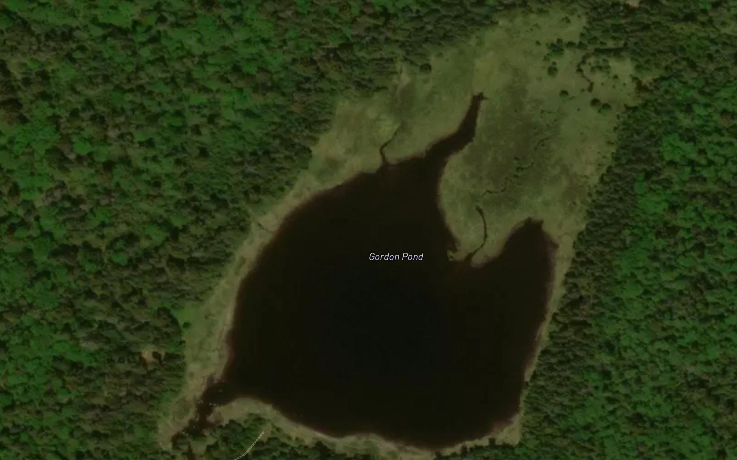 Gordon Pond