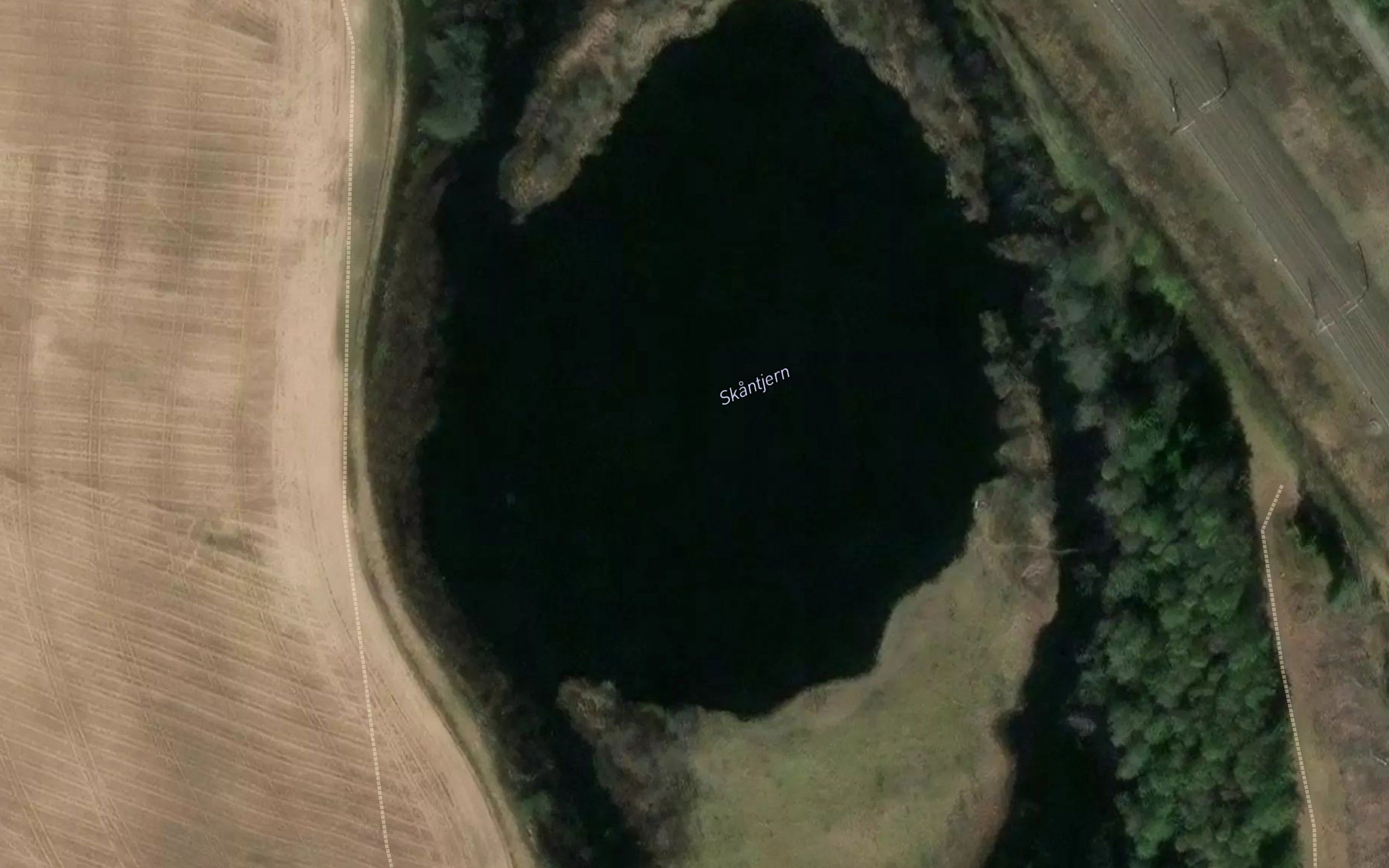 Skantjern