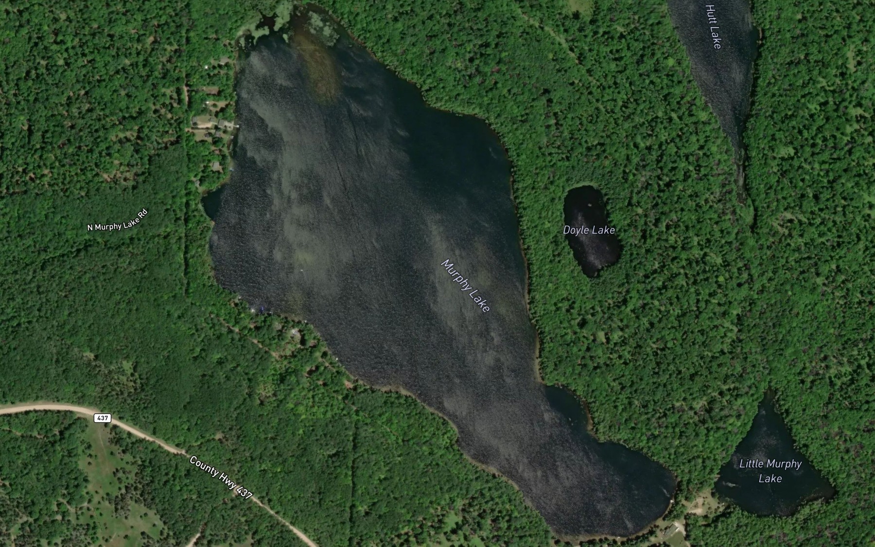 Satellite map of the Murphy Lake