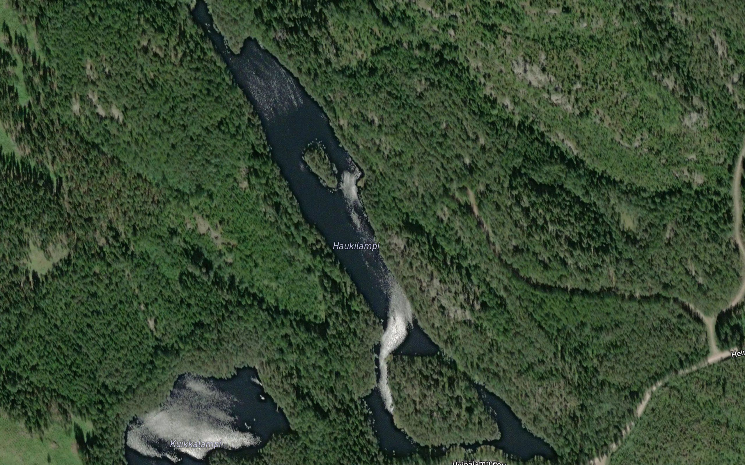 Haukilampi