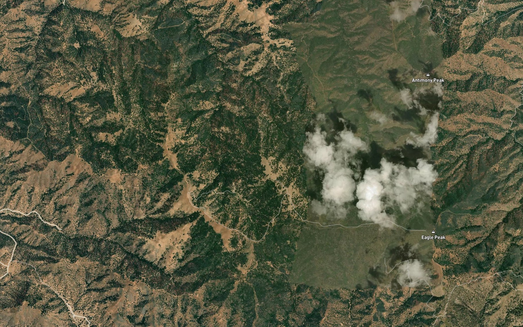 Satellite map of the Buzzard Spring