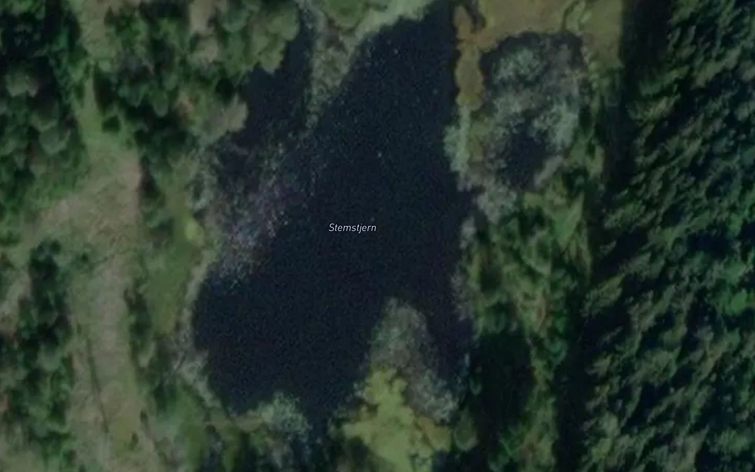 Stemstjern