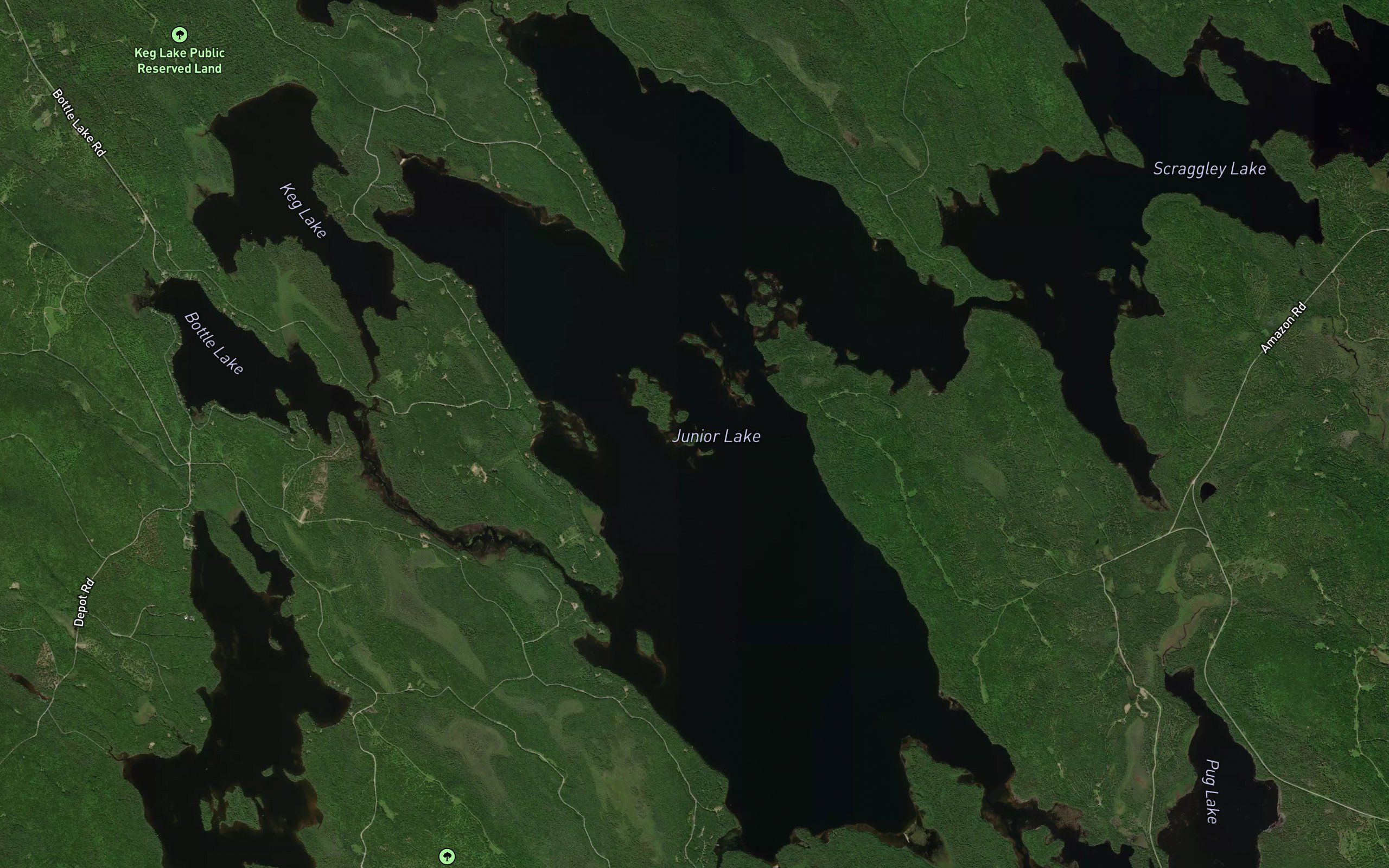 Junior Lake
