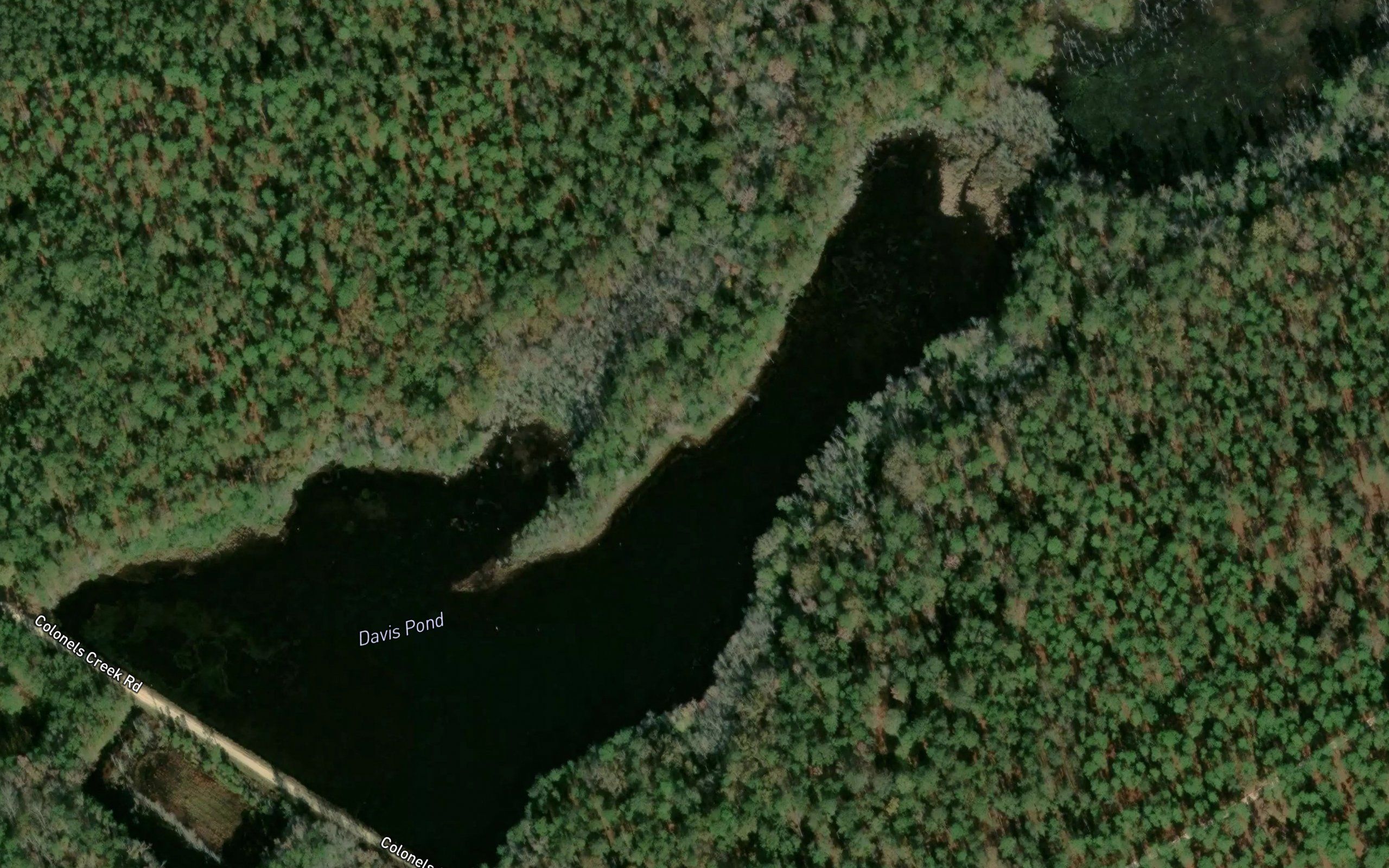 Davis Pond