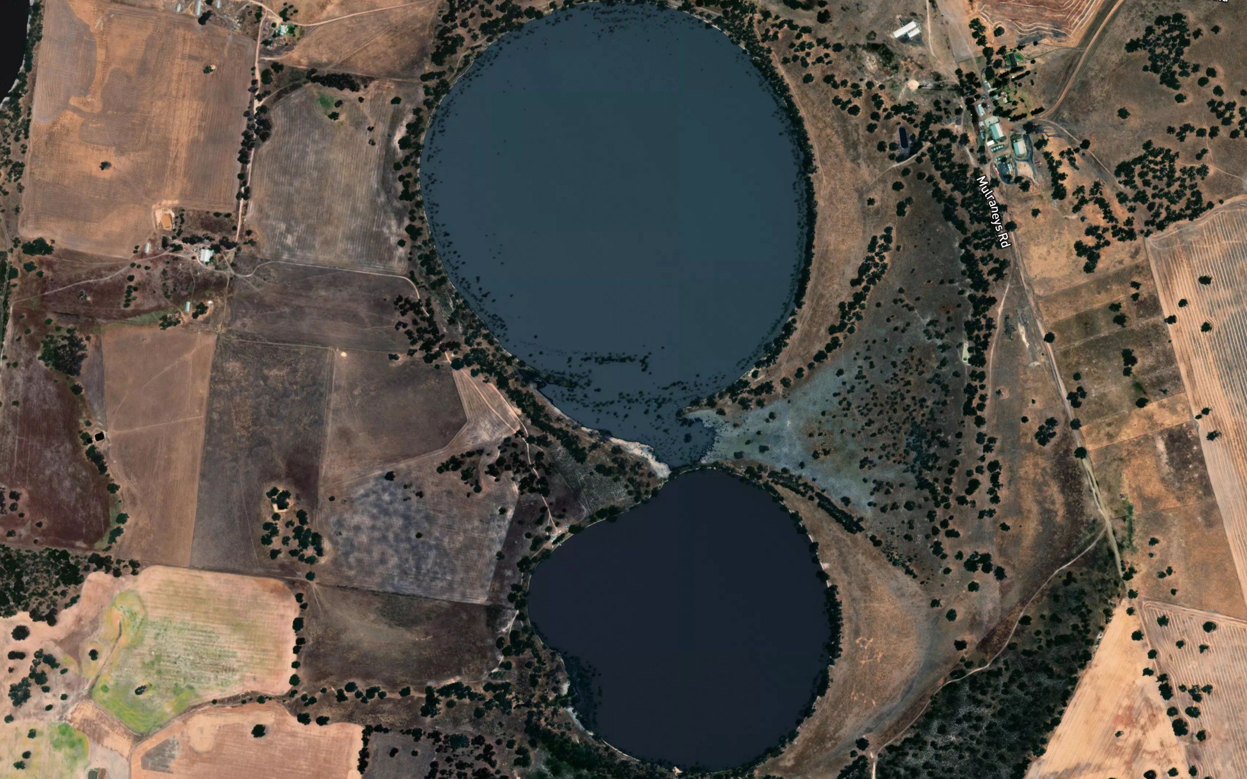Maryvale Swamp