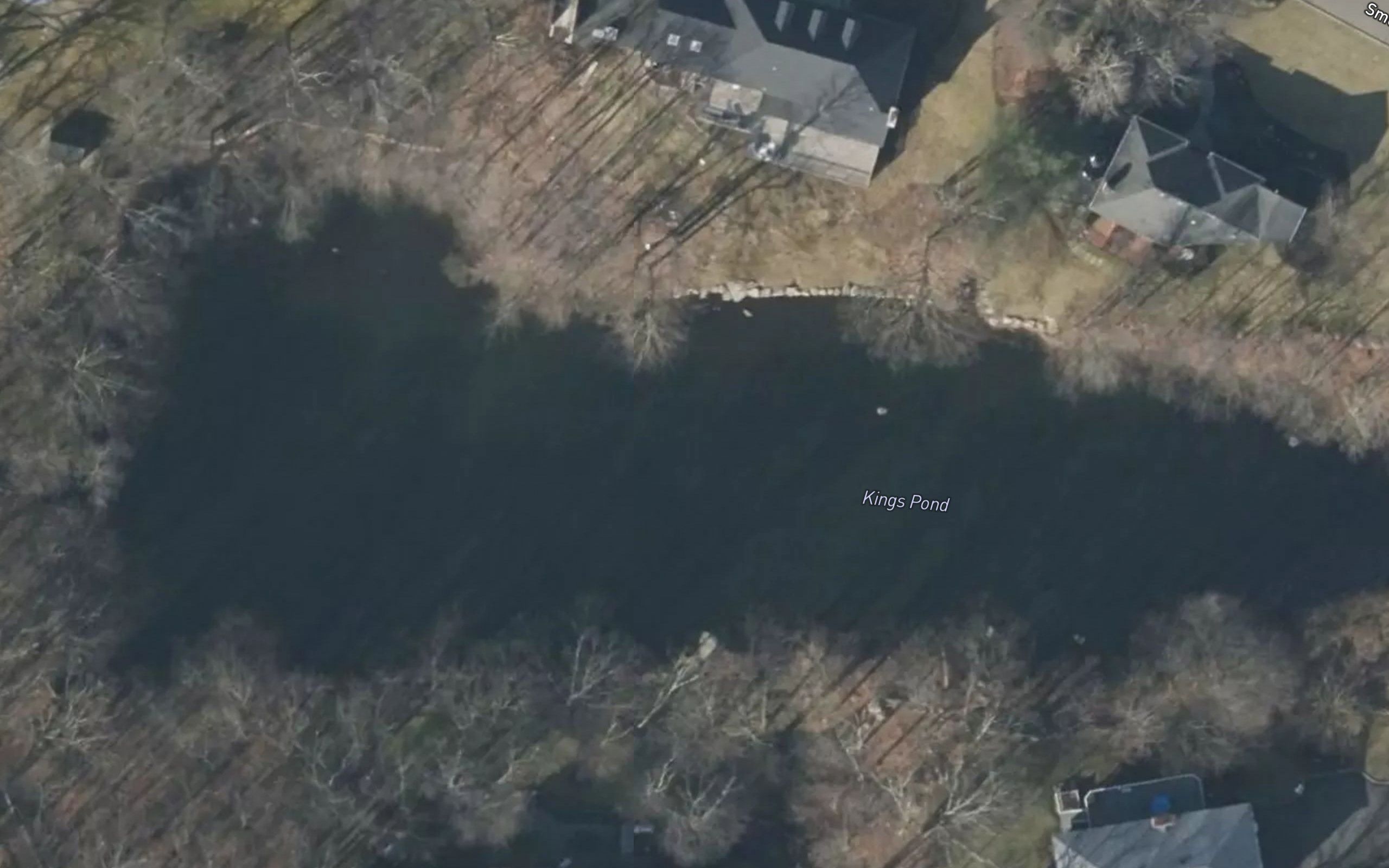 Kings Pond