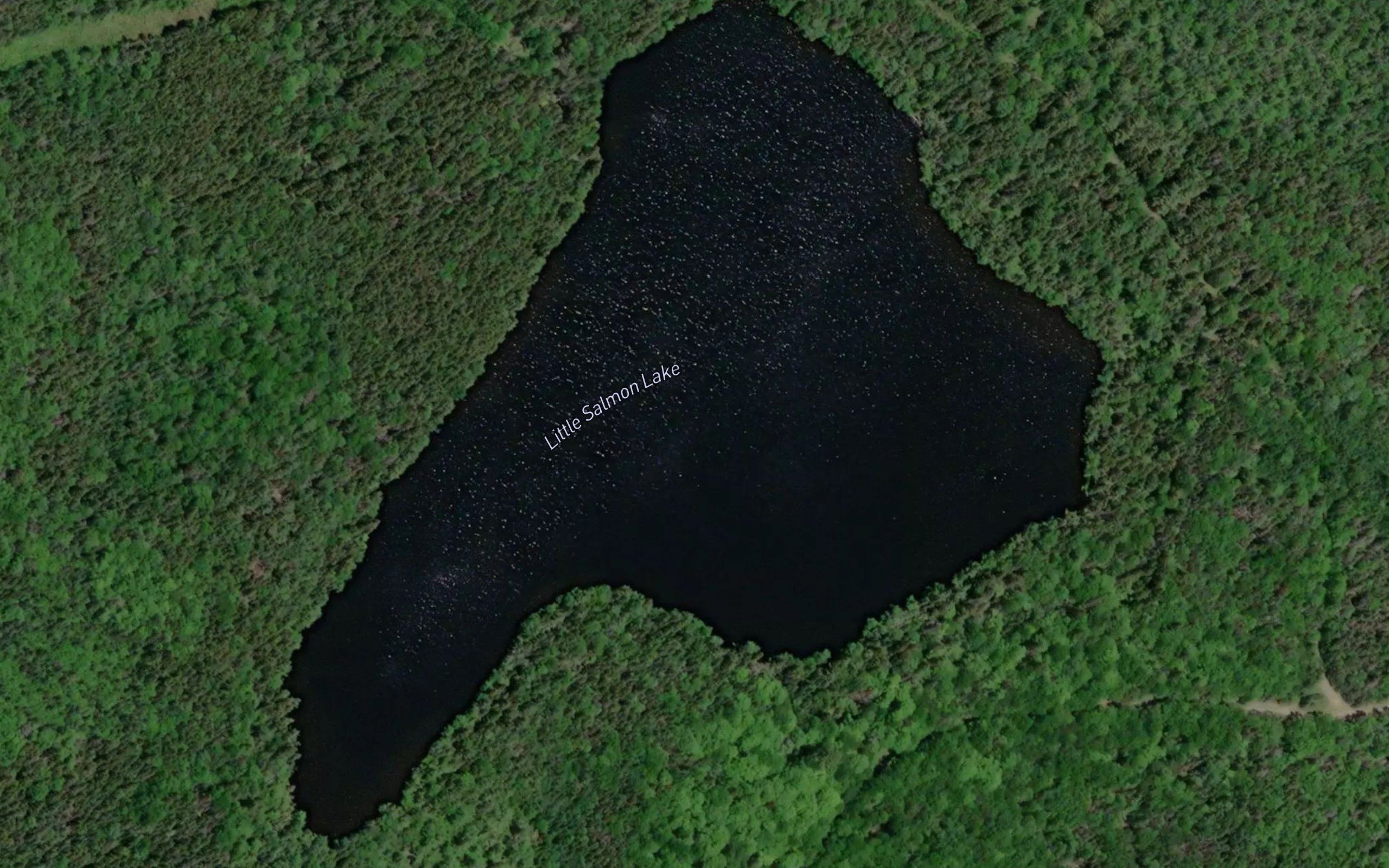 Little Salmon Lake