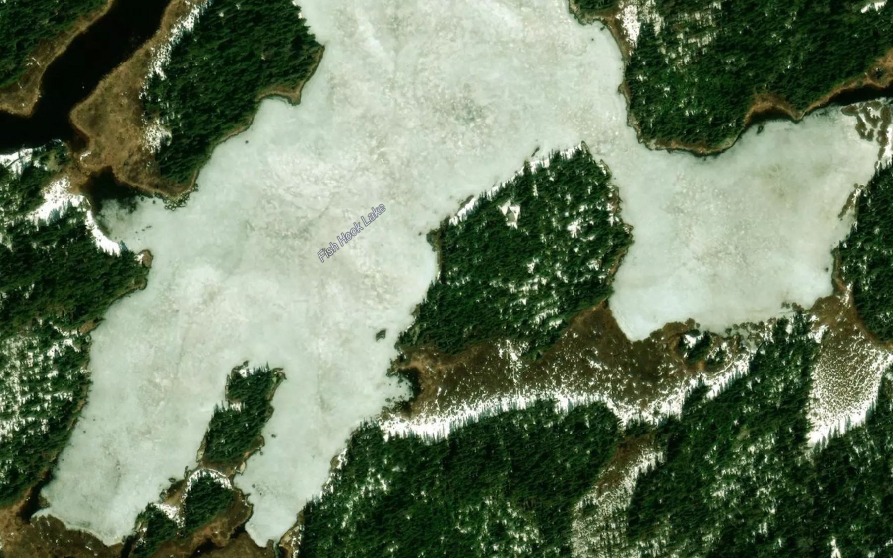 Satellite map of the Fish Hook Lake
