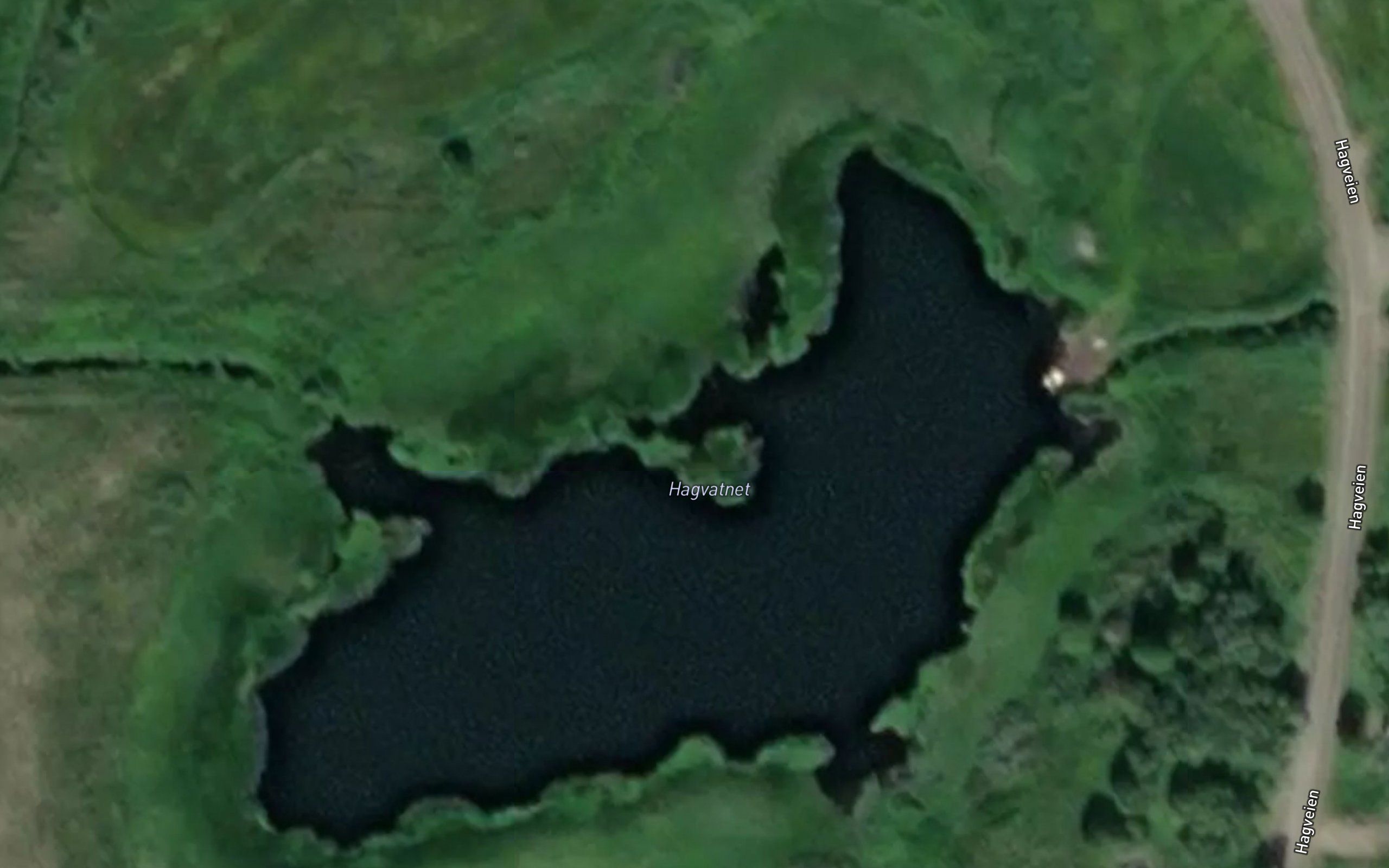 Hagvatnet