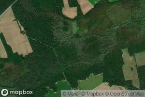 Bear Swamp