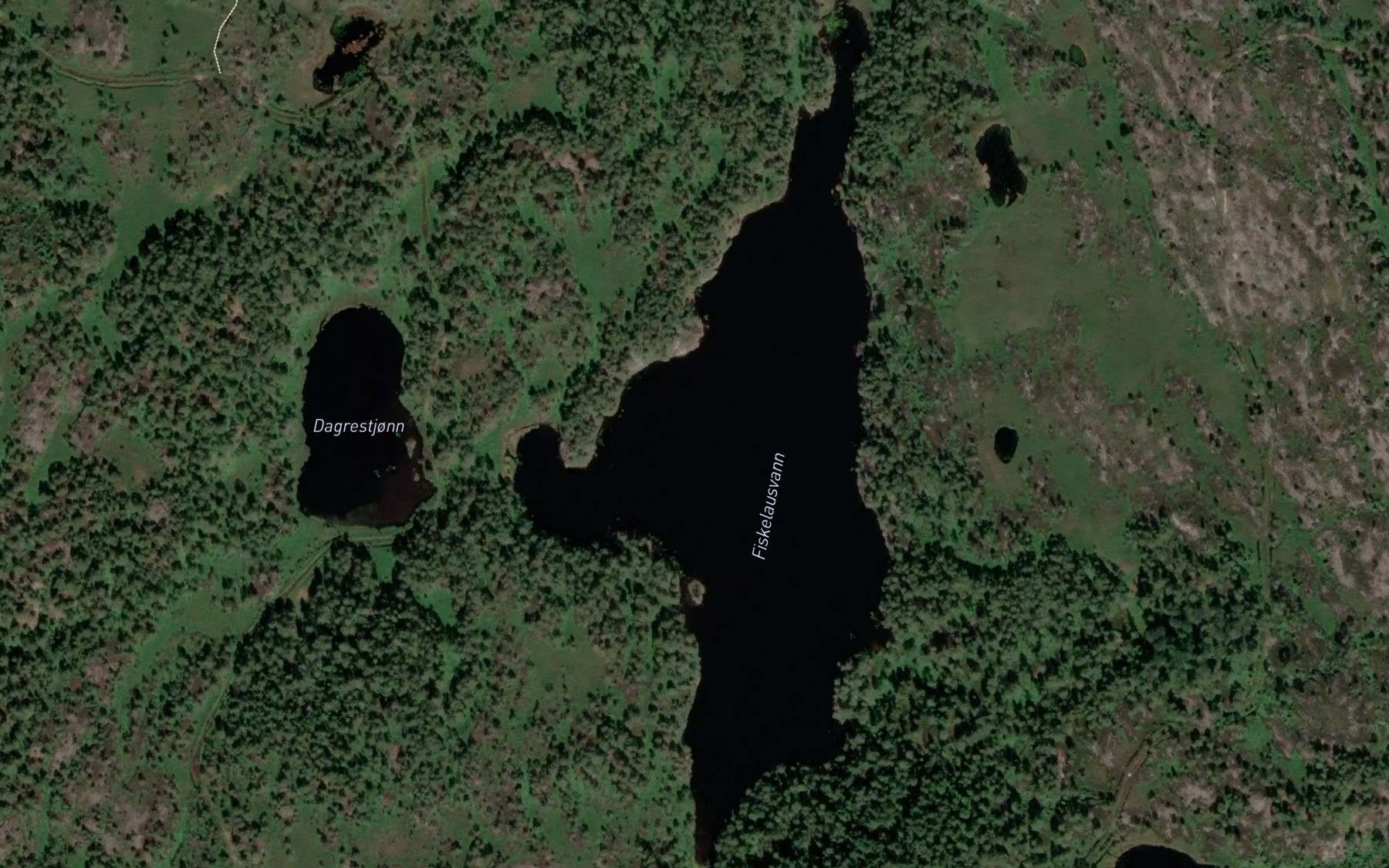 Satellite map of the Fiskelausvann