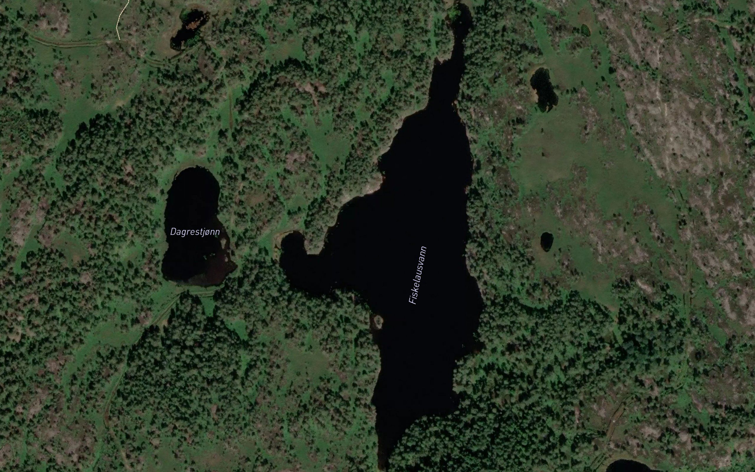 Fiskelausvann