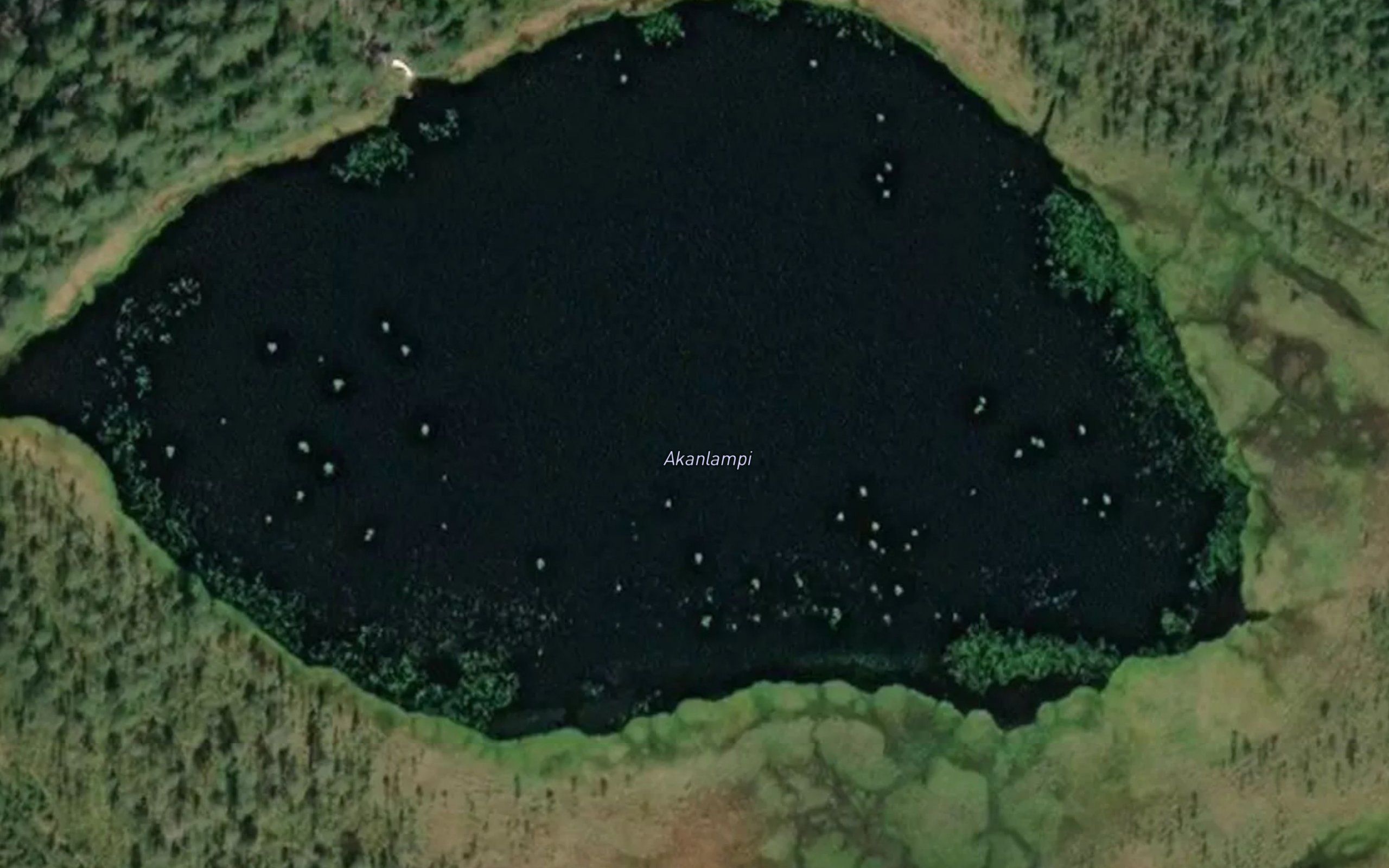 Akanlampi